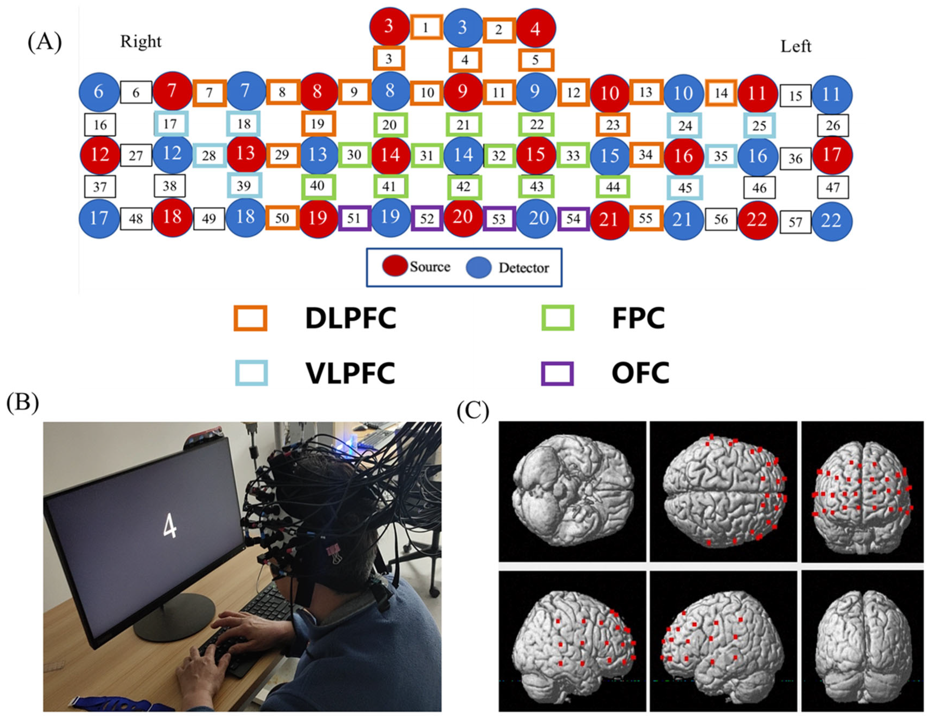 Brainsci 13 00497 g002