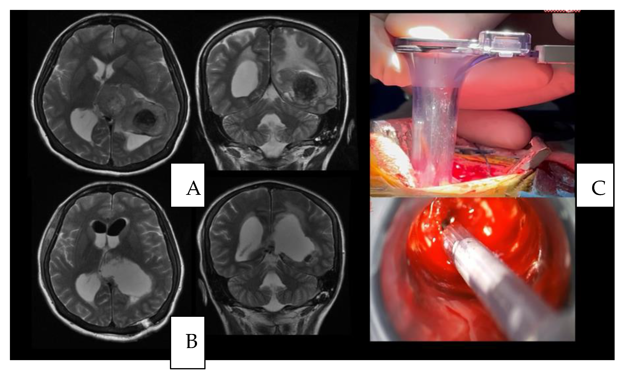 Brainsci 13 00498 g003