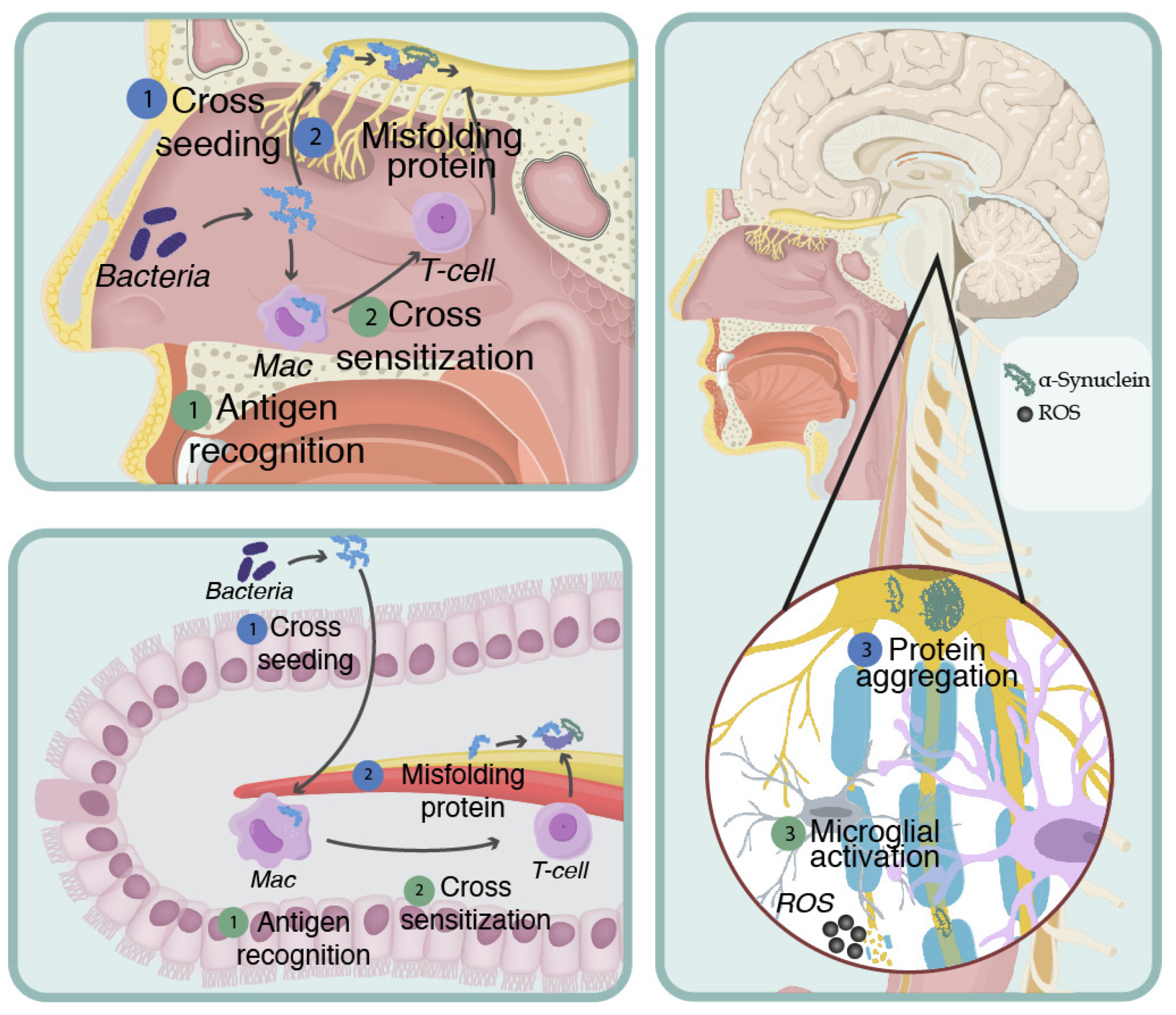 Brainsci 13 00508 g002