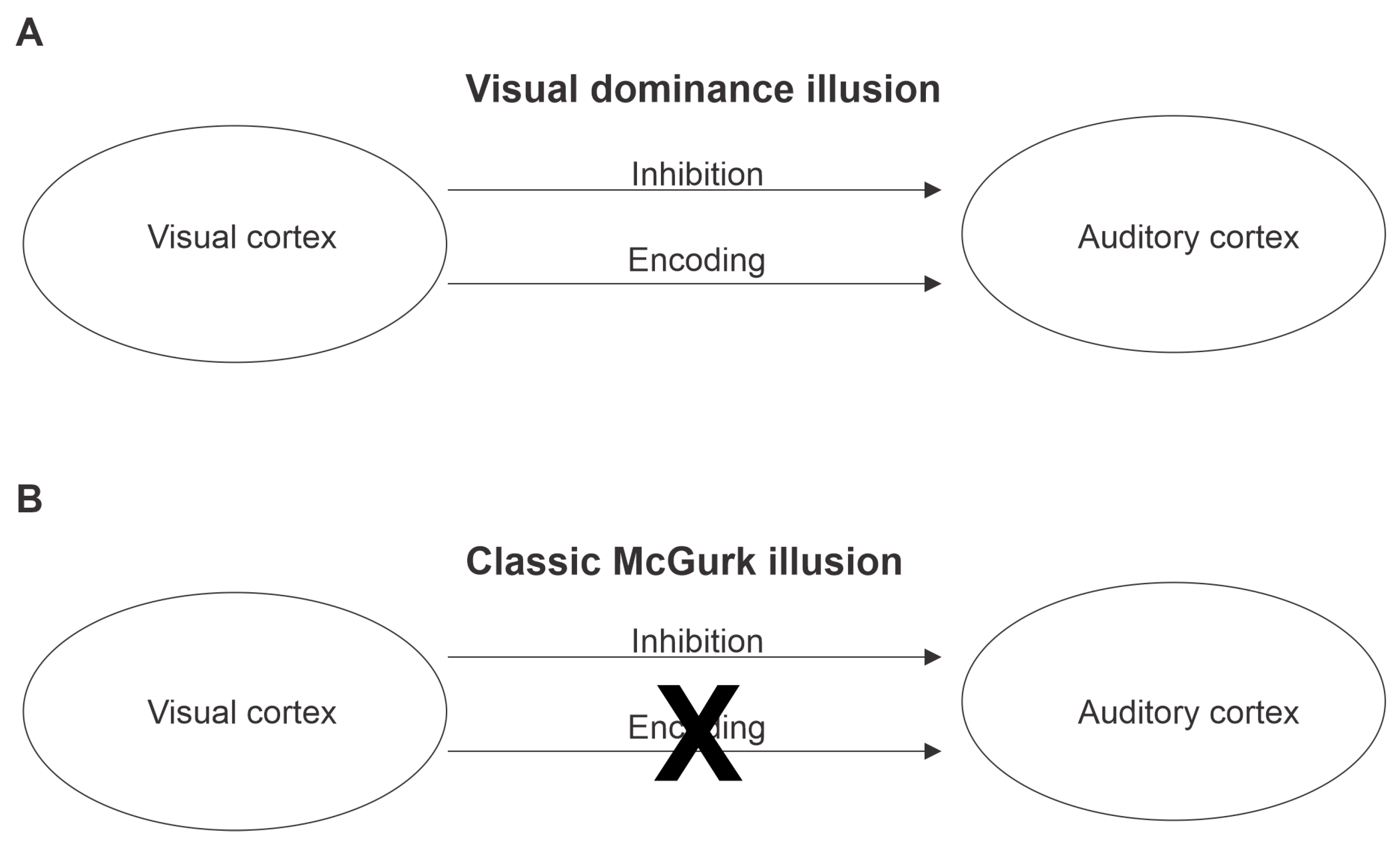 Brainsci 13 00510 g004 Brainsci 13 00510 g004