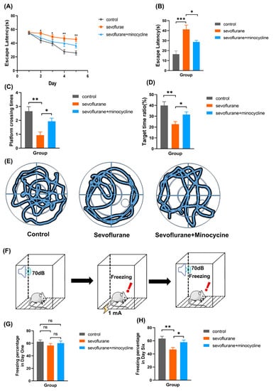Brainsci 13 00512 g001
