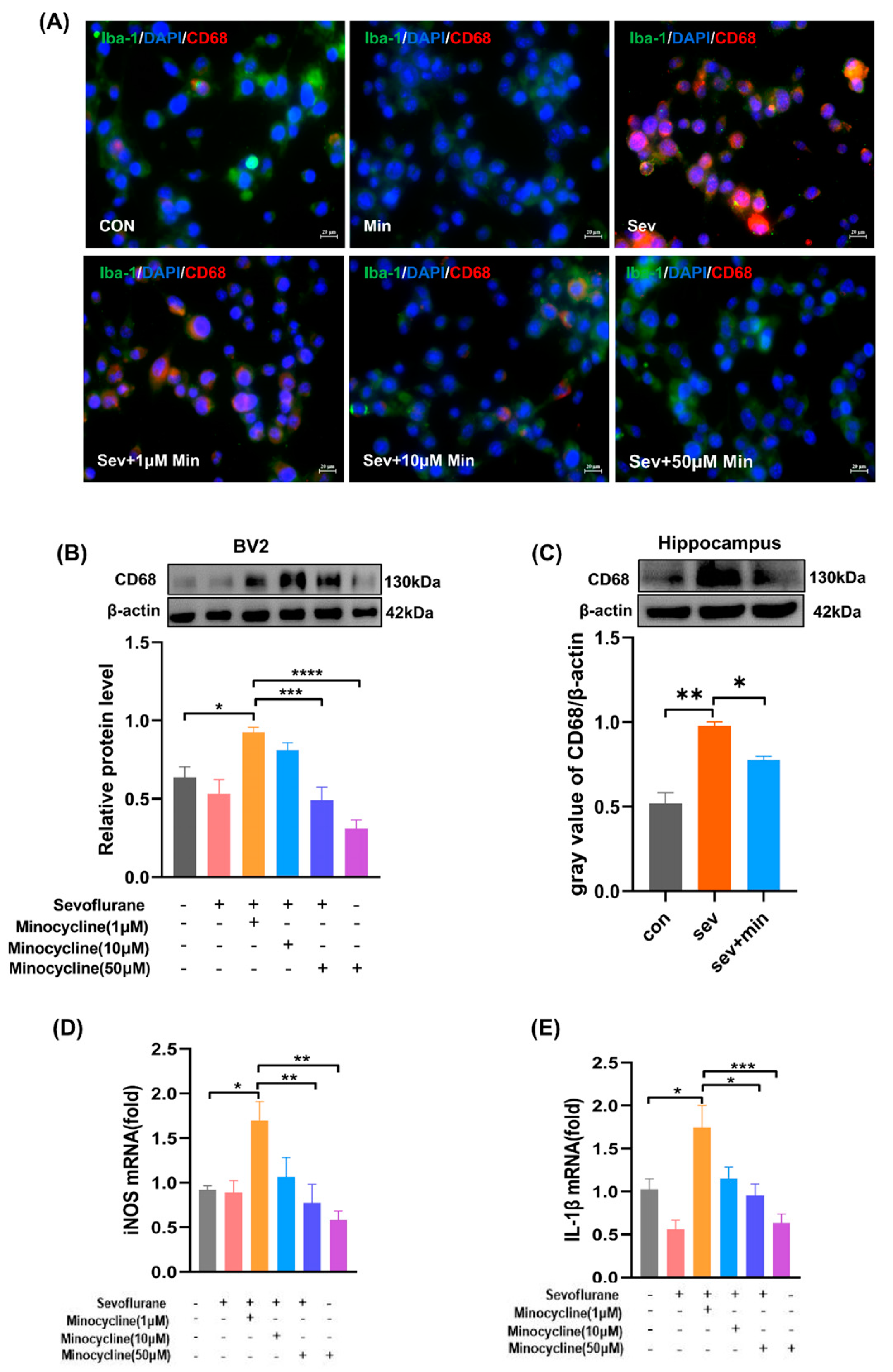 Brainsci 13 00512 g005
