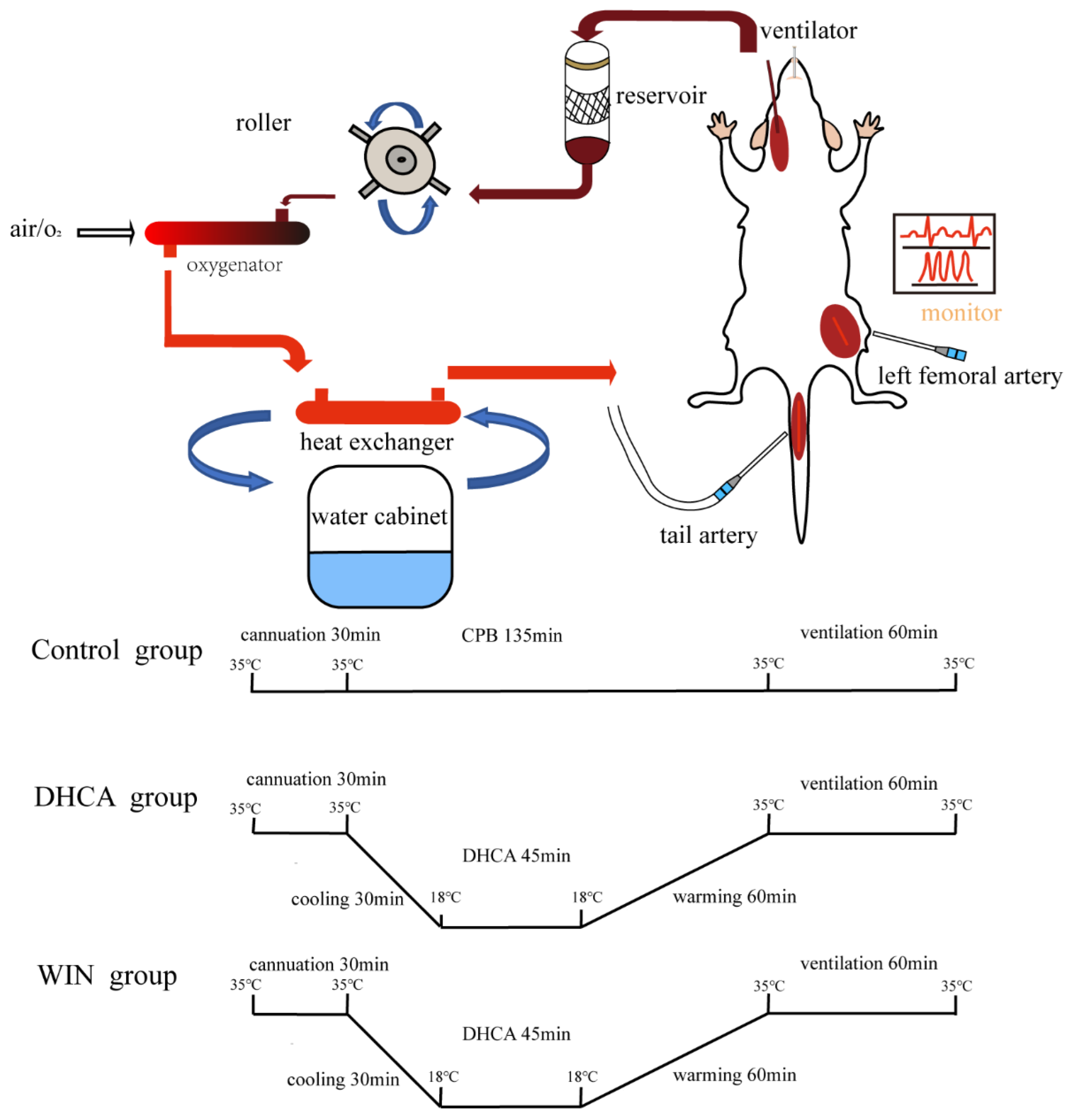 Brainsci 13 00525 g001