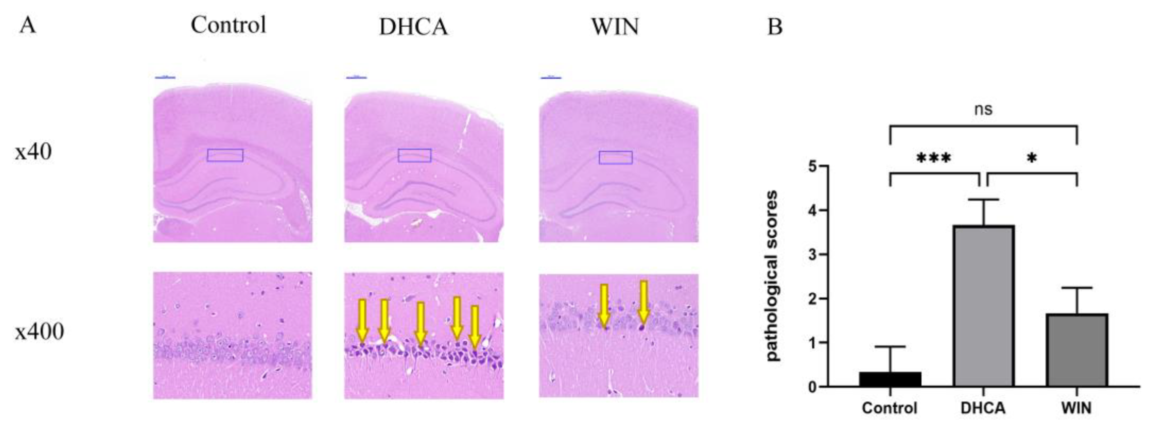 Brainsci 13 00525 g002