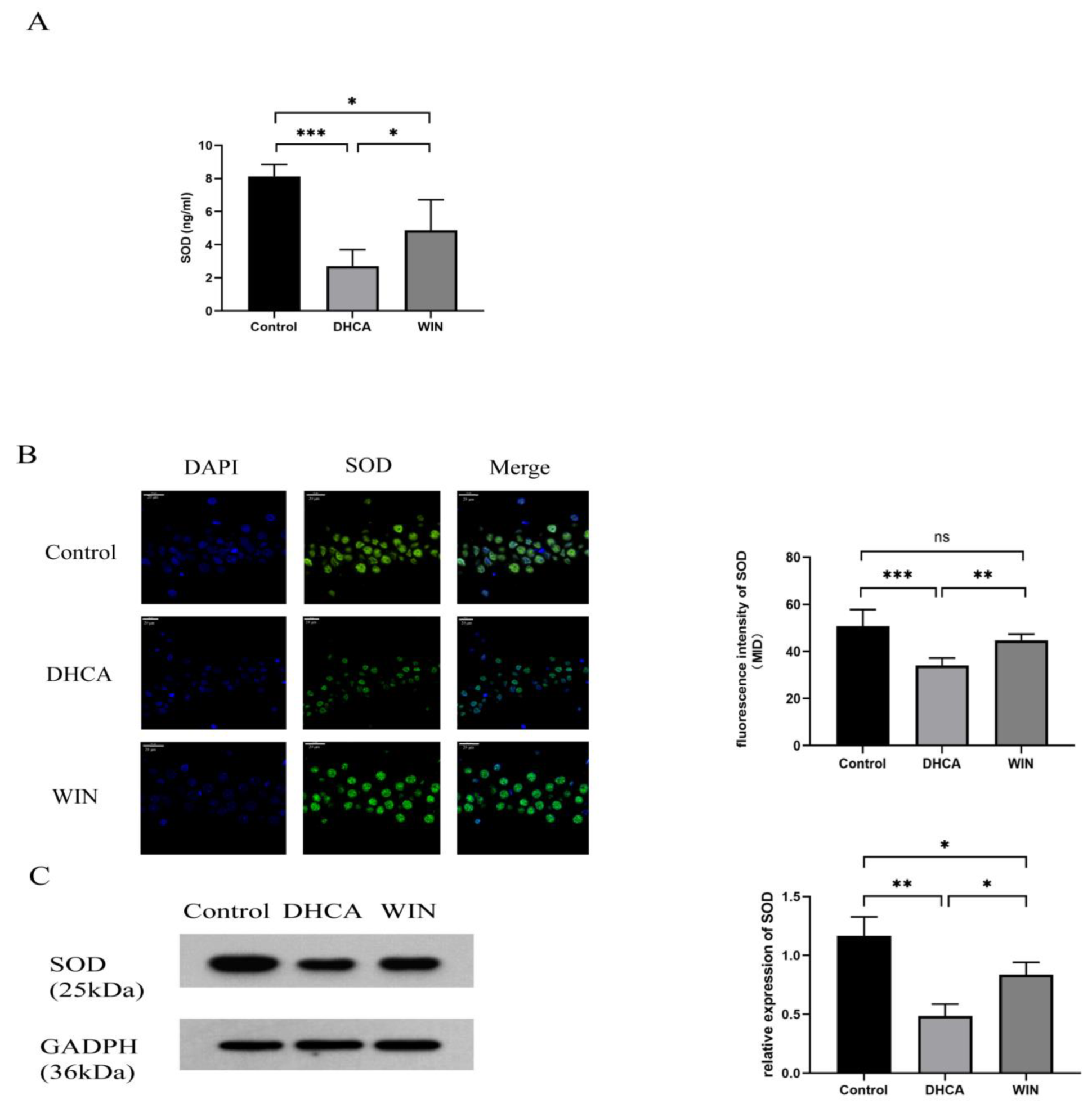 Brainsci 13 00525 g004