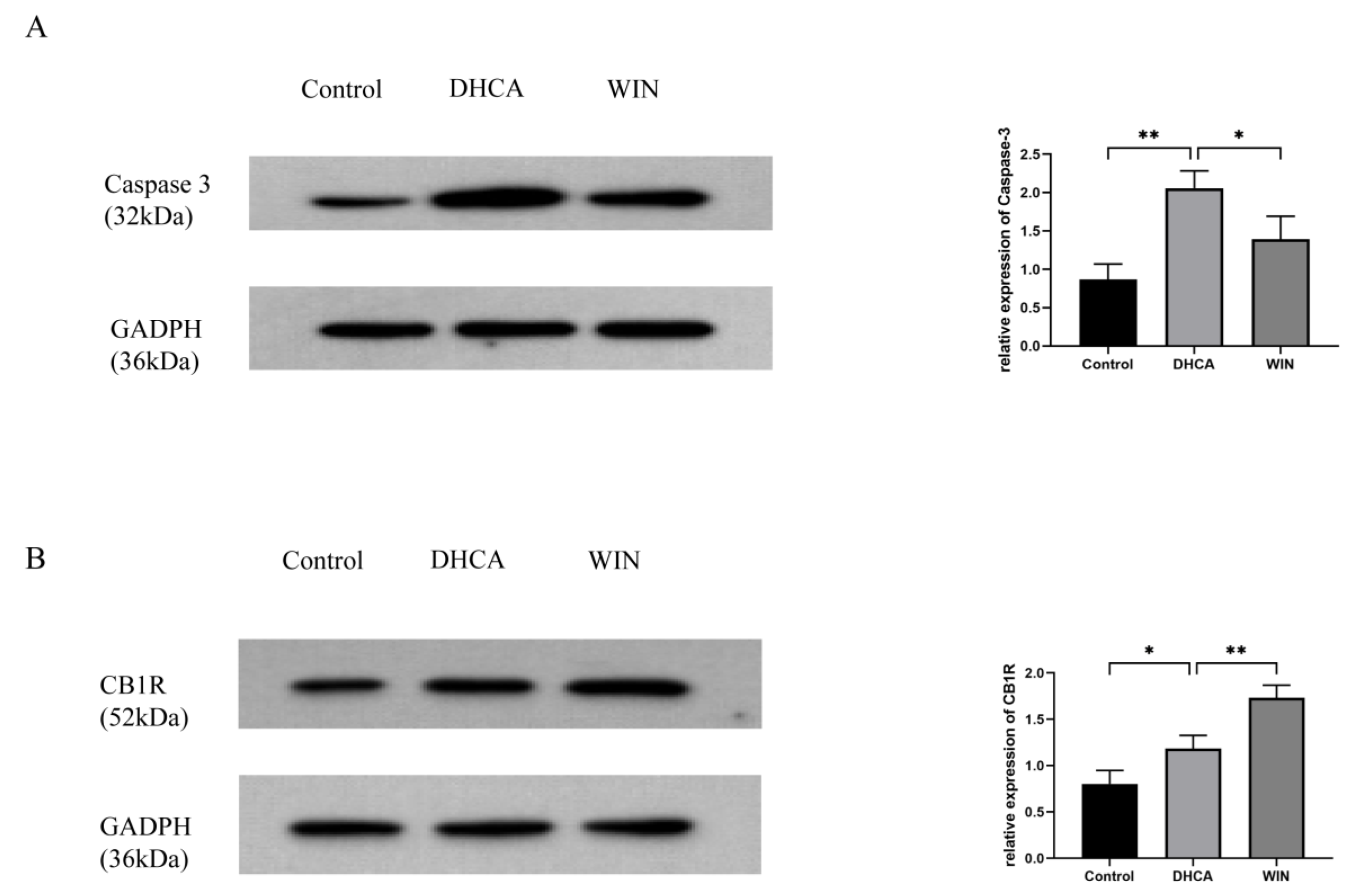 Brainsci 13 00525 g005