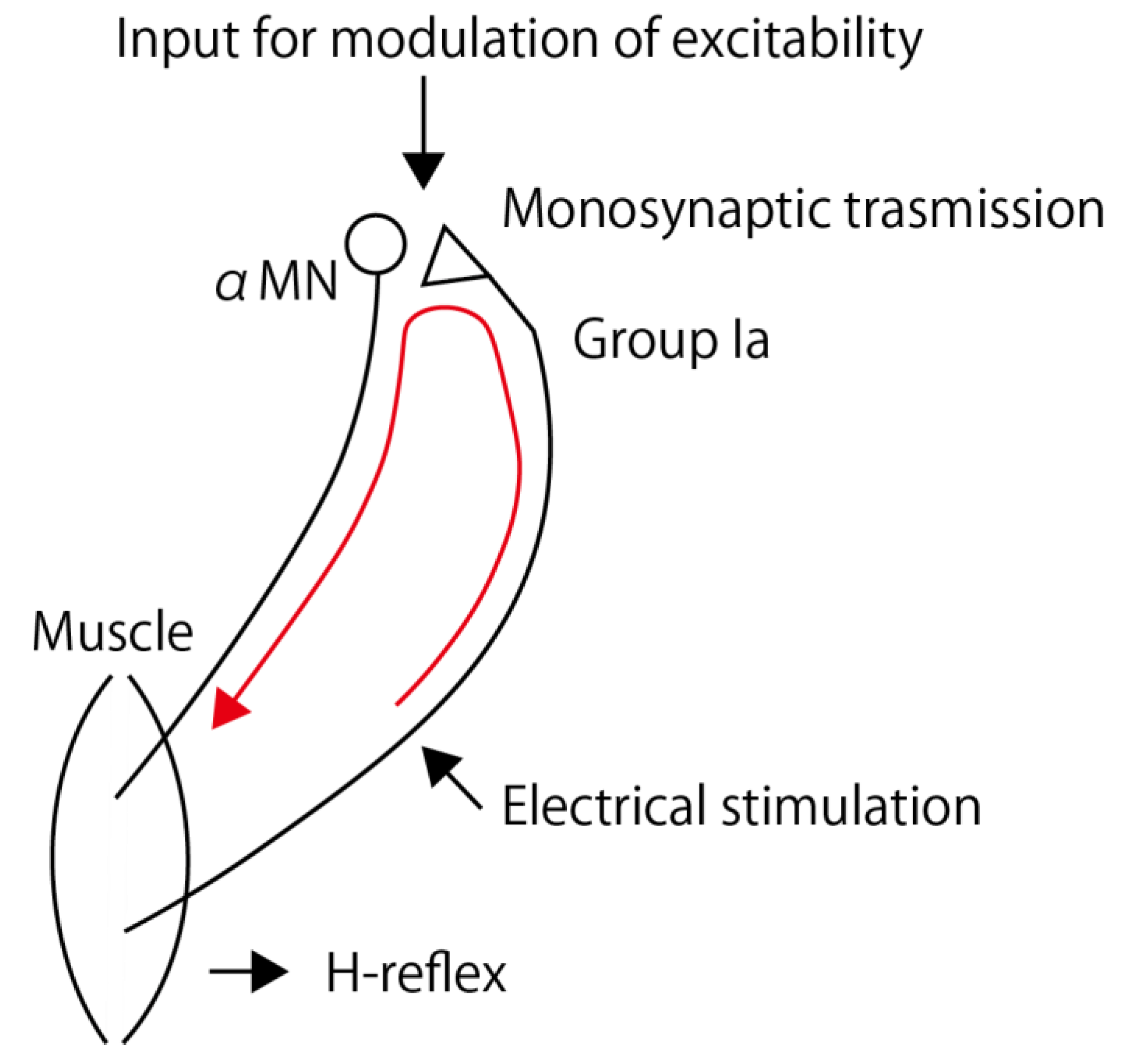 Brainsci 13 00531 g003 Brainsci 13 00531 g003