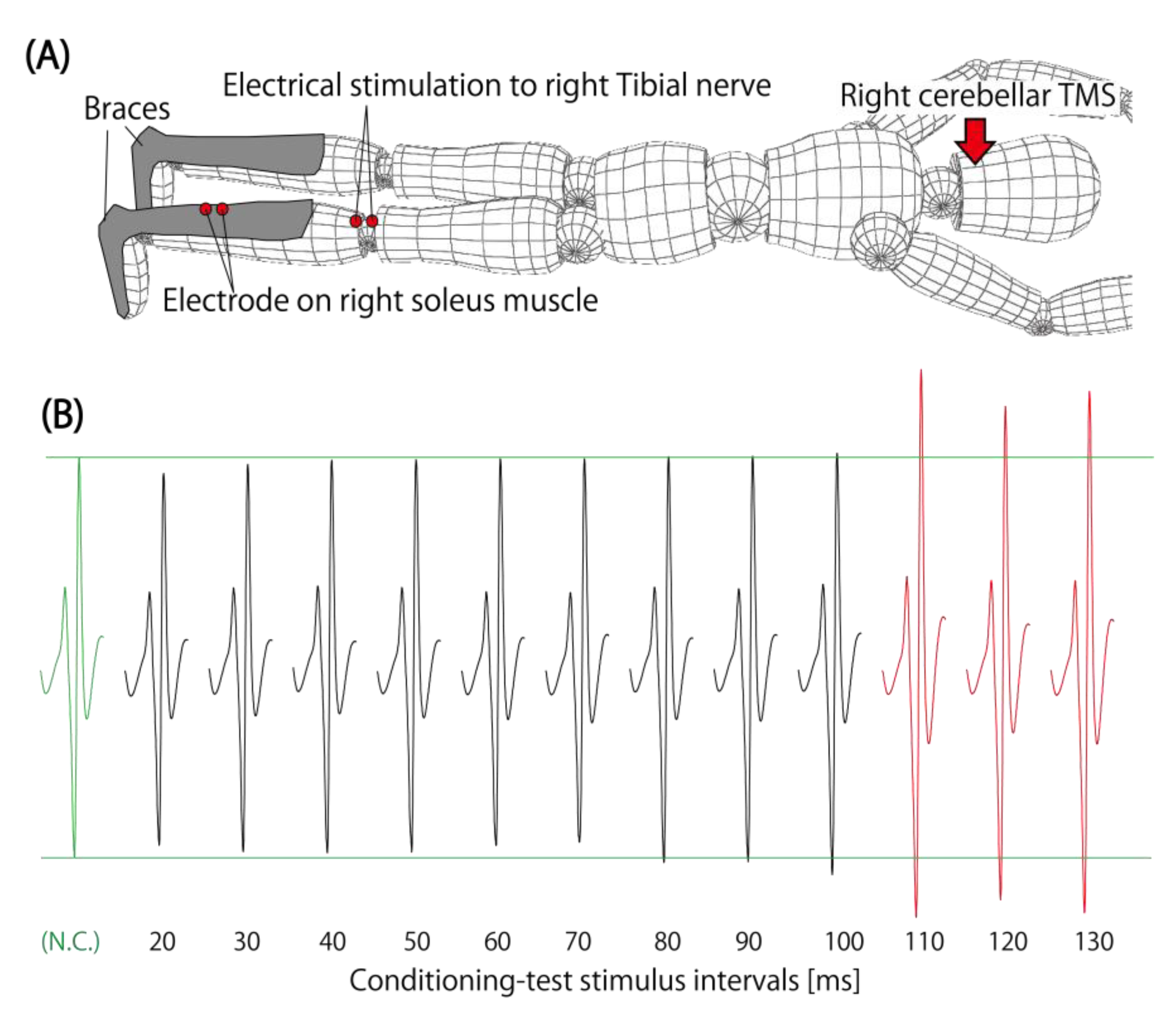 Brainsci 13 00531 g004 Brainsci 13 00531 g004