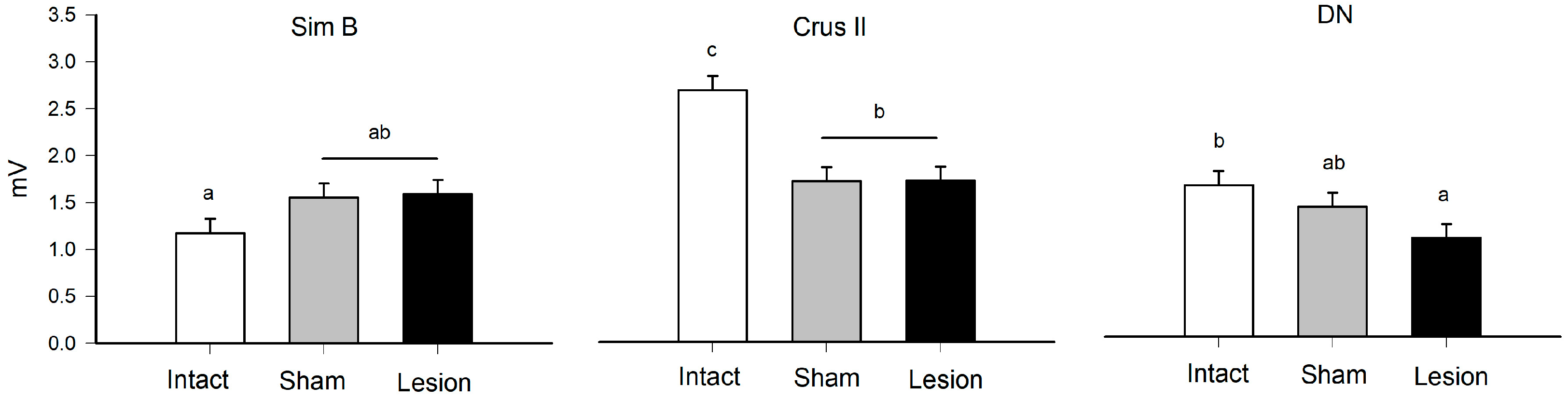 Brainsci 13 00537 g002