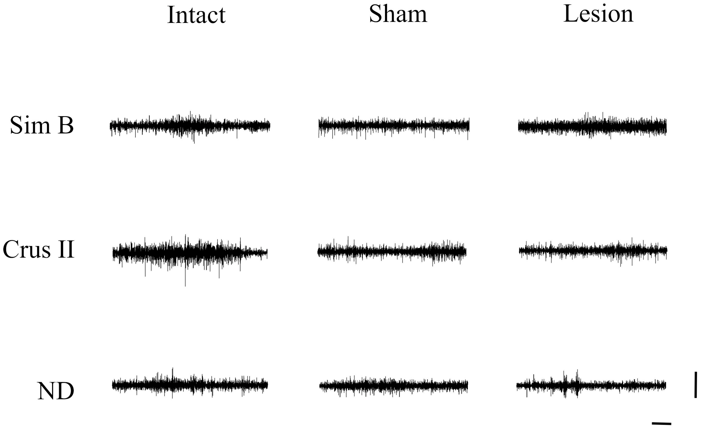Brainsci 13 00537 g003