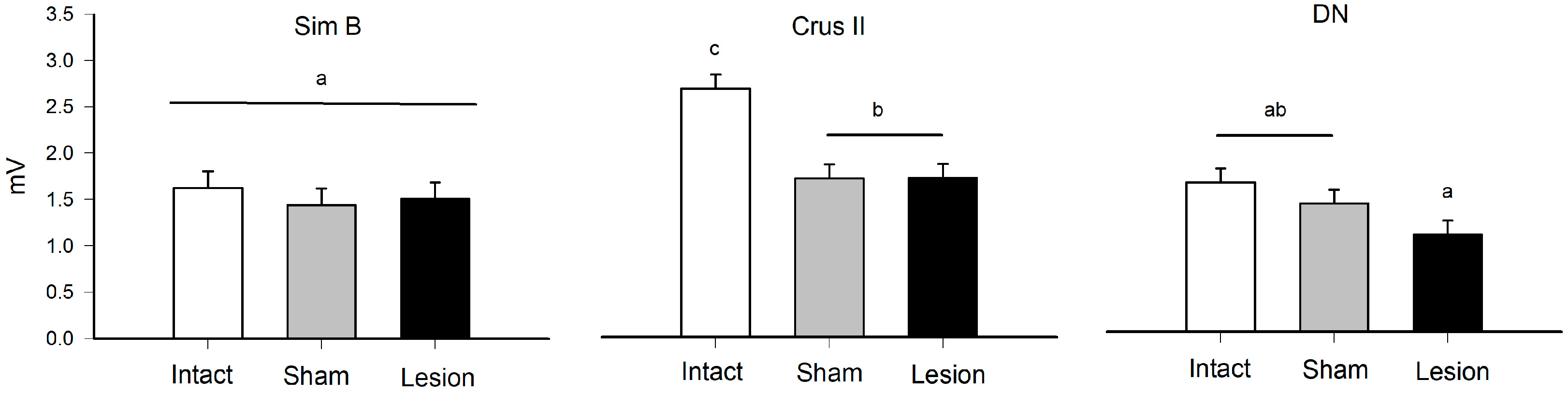 Brainsci 13 00537 g004