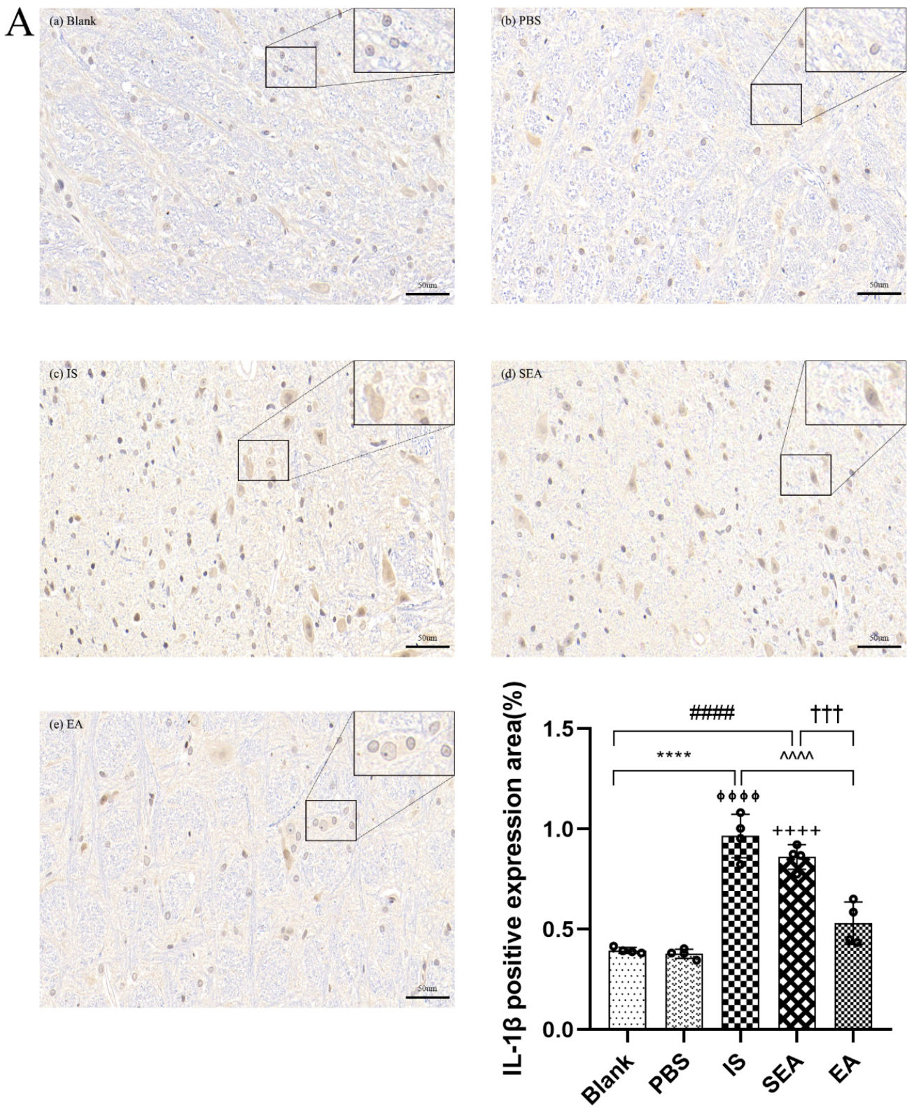 Brainsci 13 00541 g005a