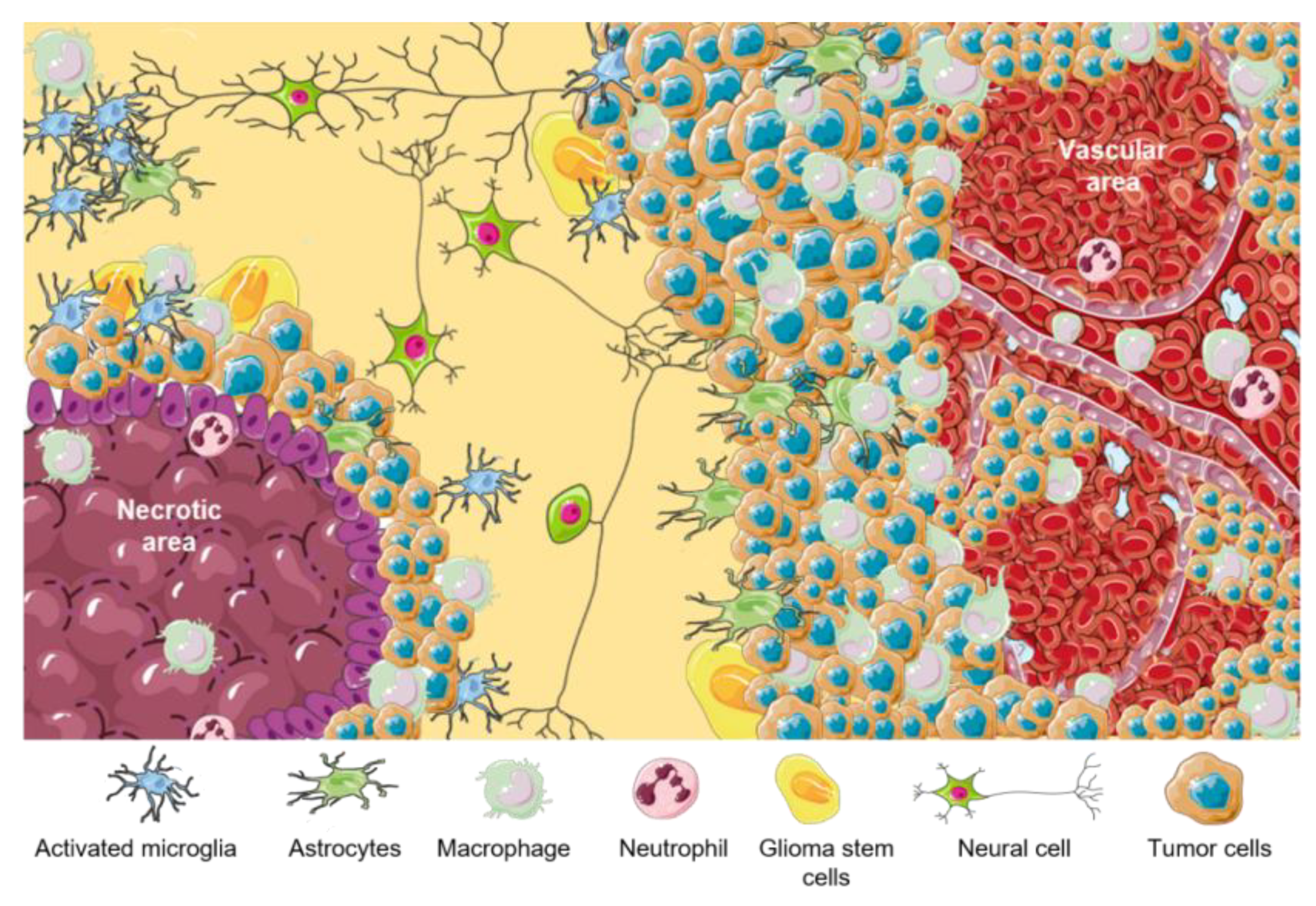 Brainsci 13 00542 g001