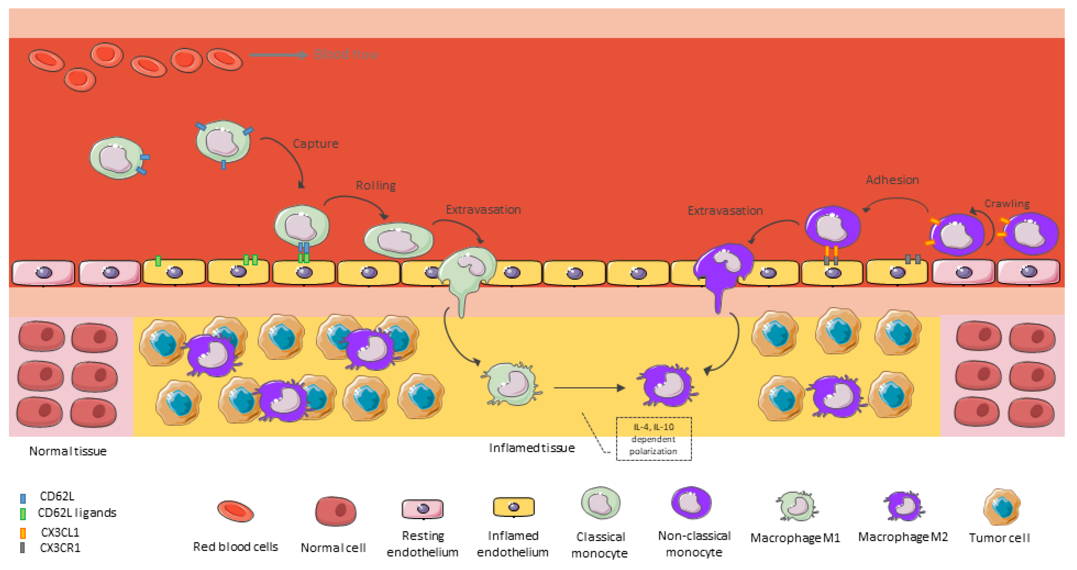 Brainsci 13 00542 g002