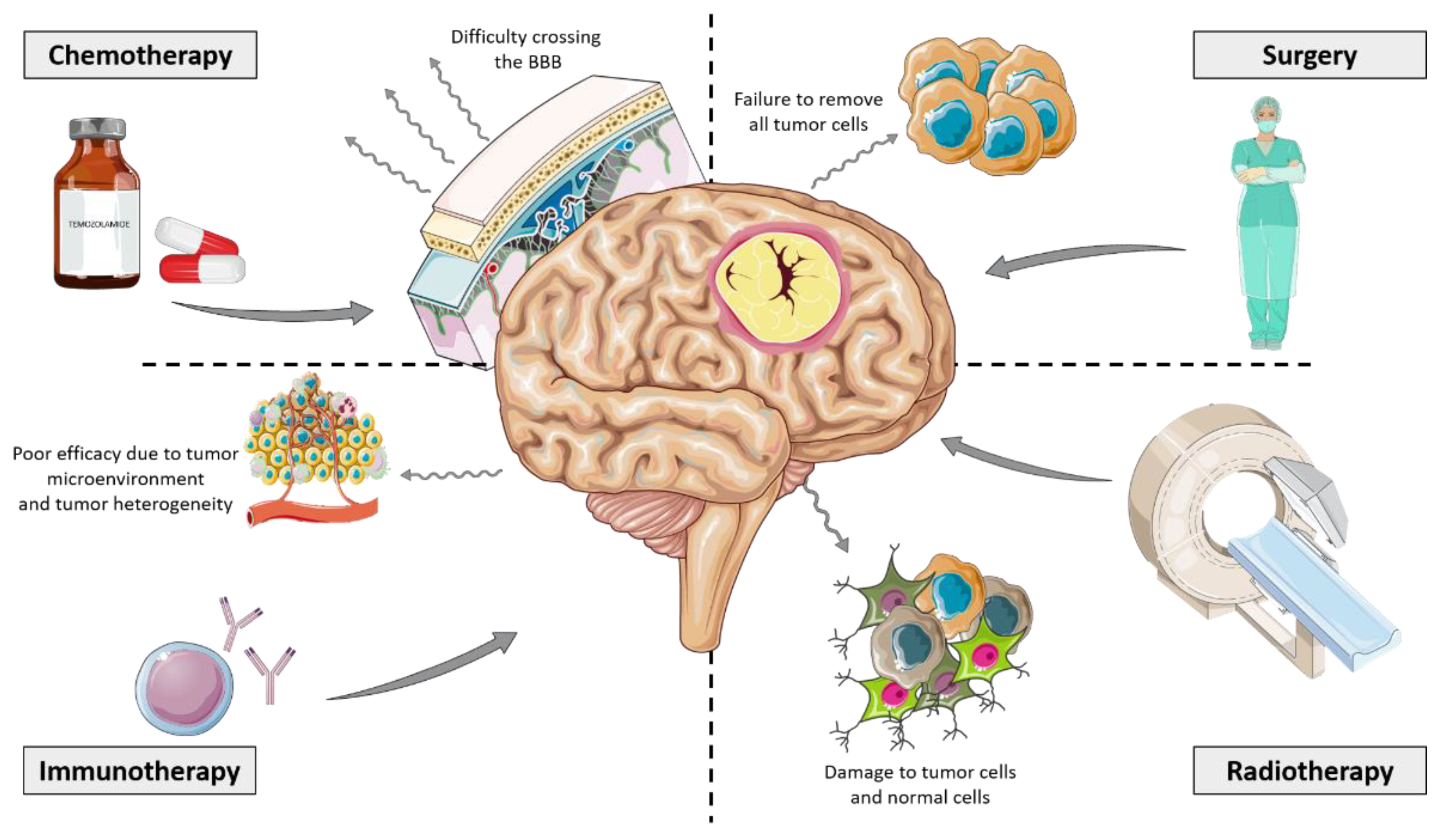 Brainsci 13 00542 g004