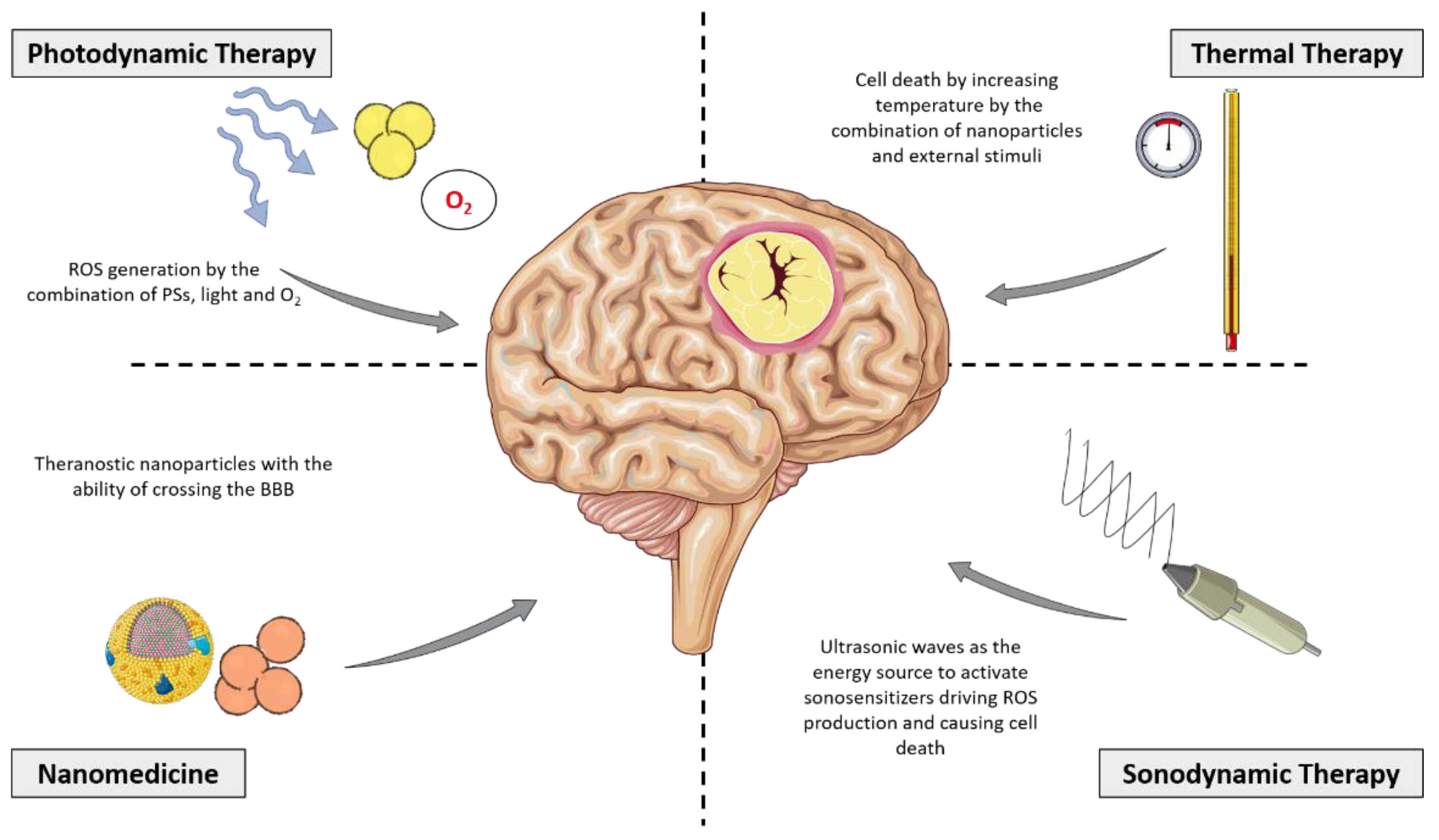 Brainsci 13 00542 g005