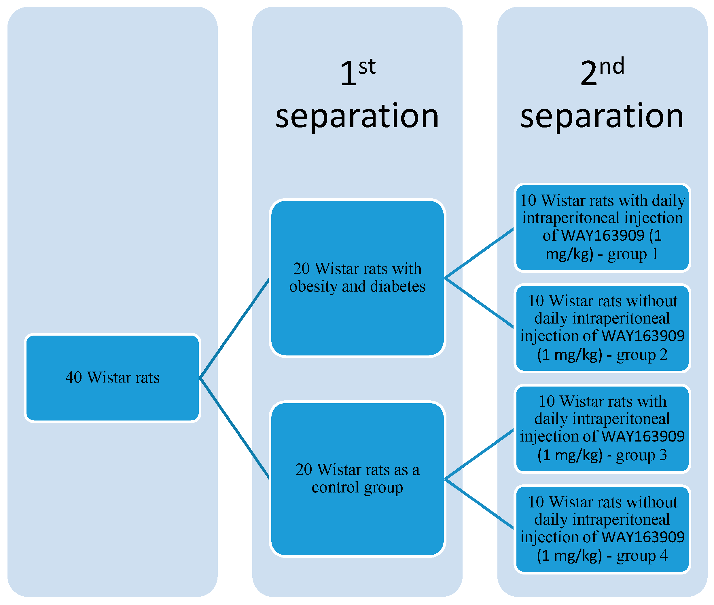 Brainsci 13 00545 g001