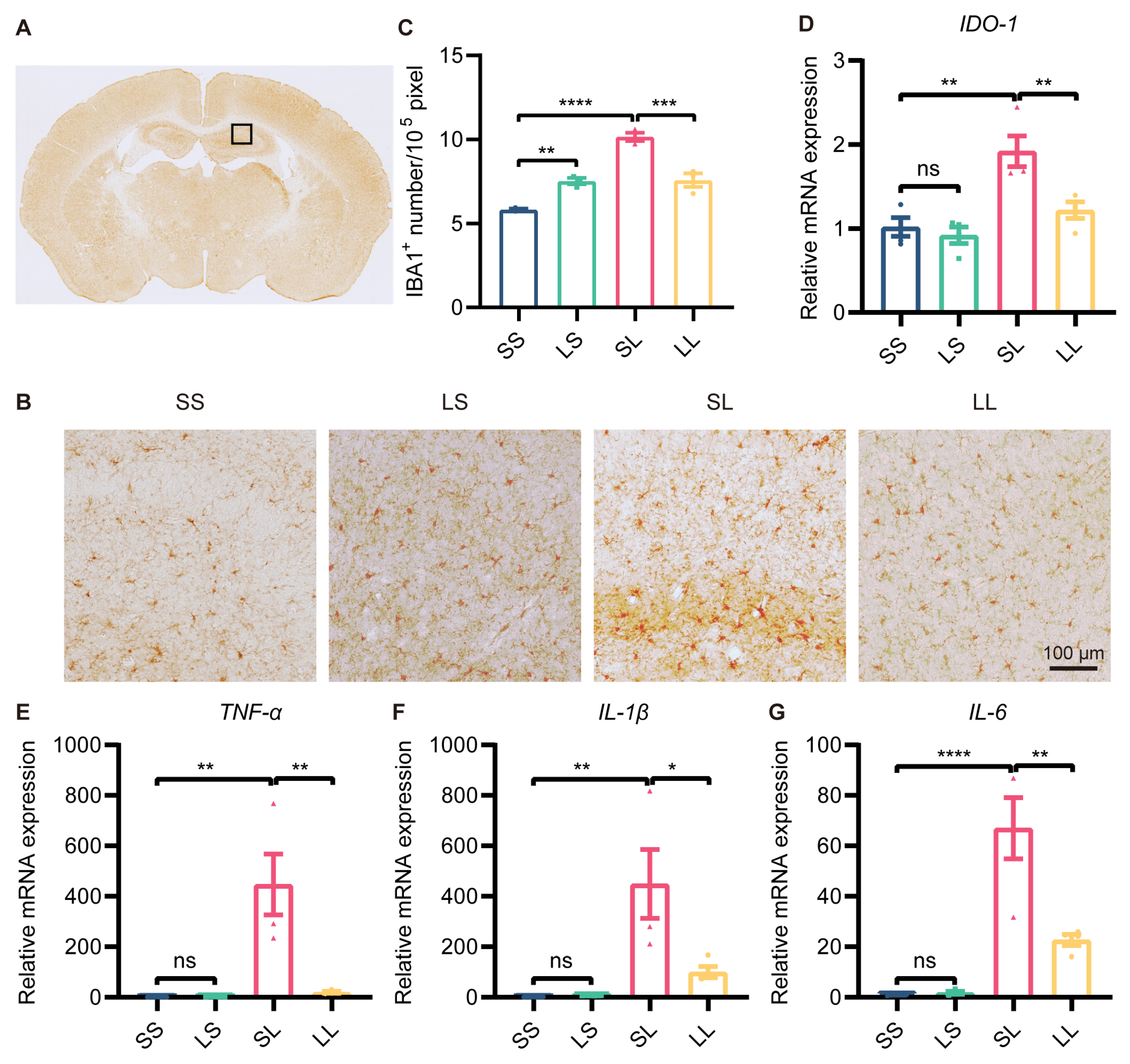 Brainsci 13 00549 g003