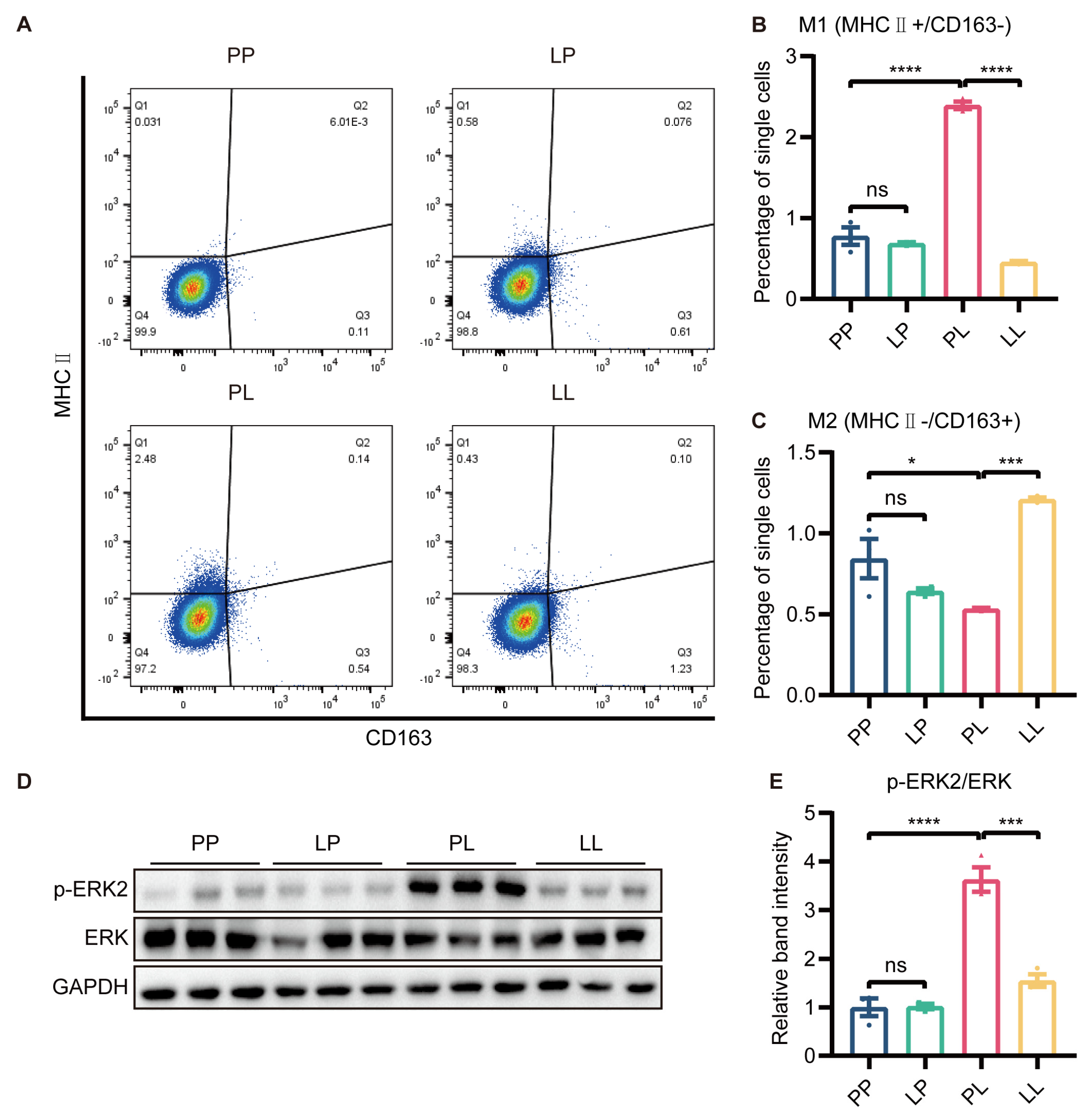 Brainsci 13 00549 g005