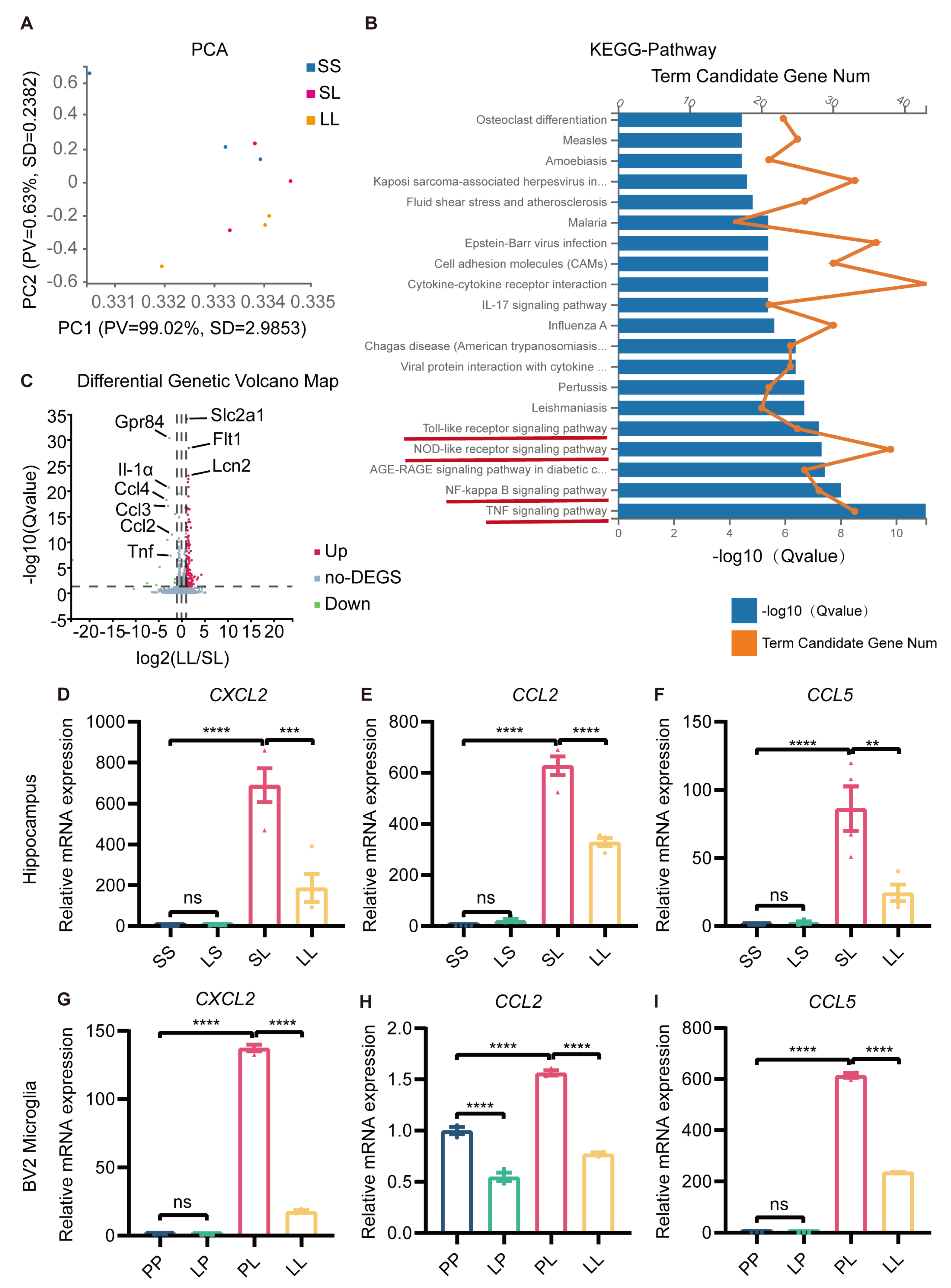 Brainsci 13 00549 g006