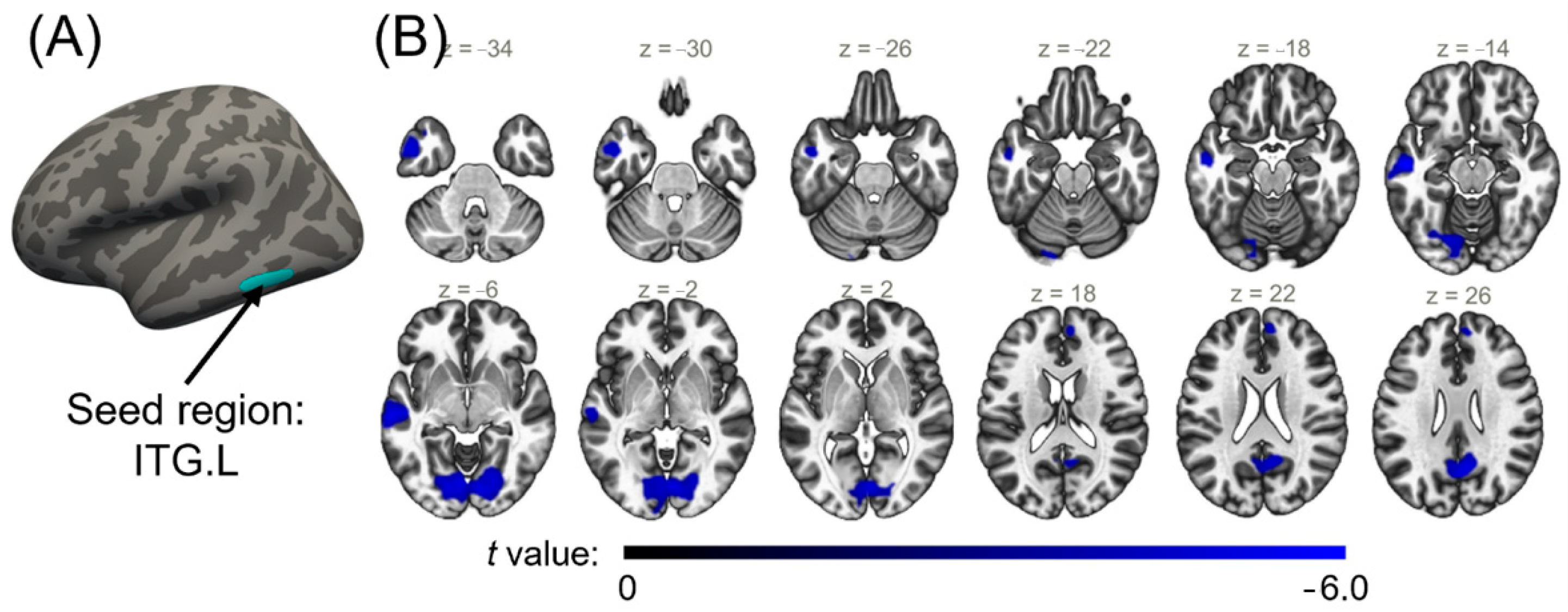 Brainsci 13 00550 g005