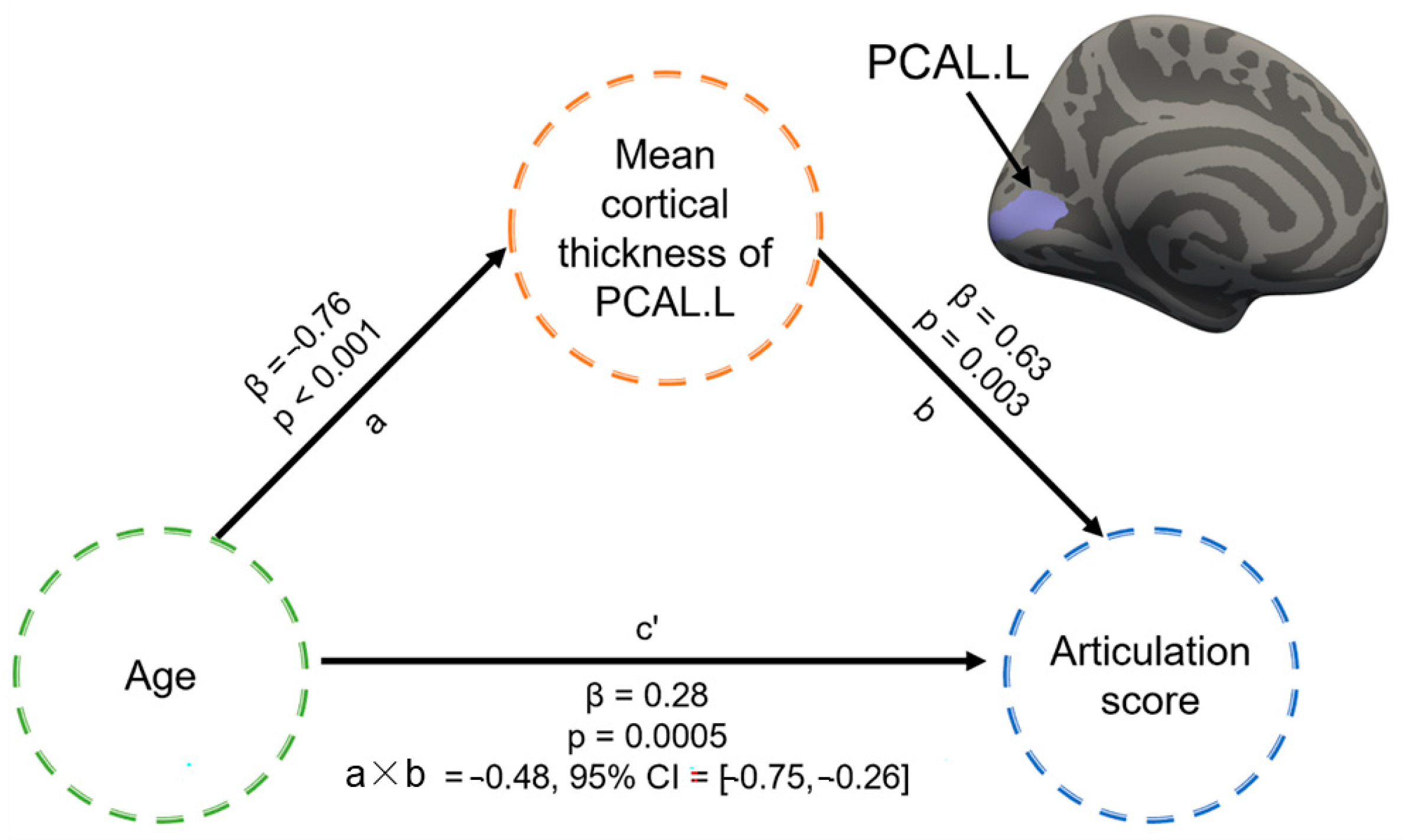 Brainsci 13 00550 g006