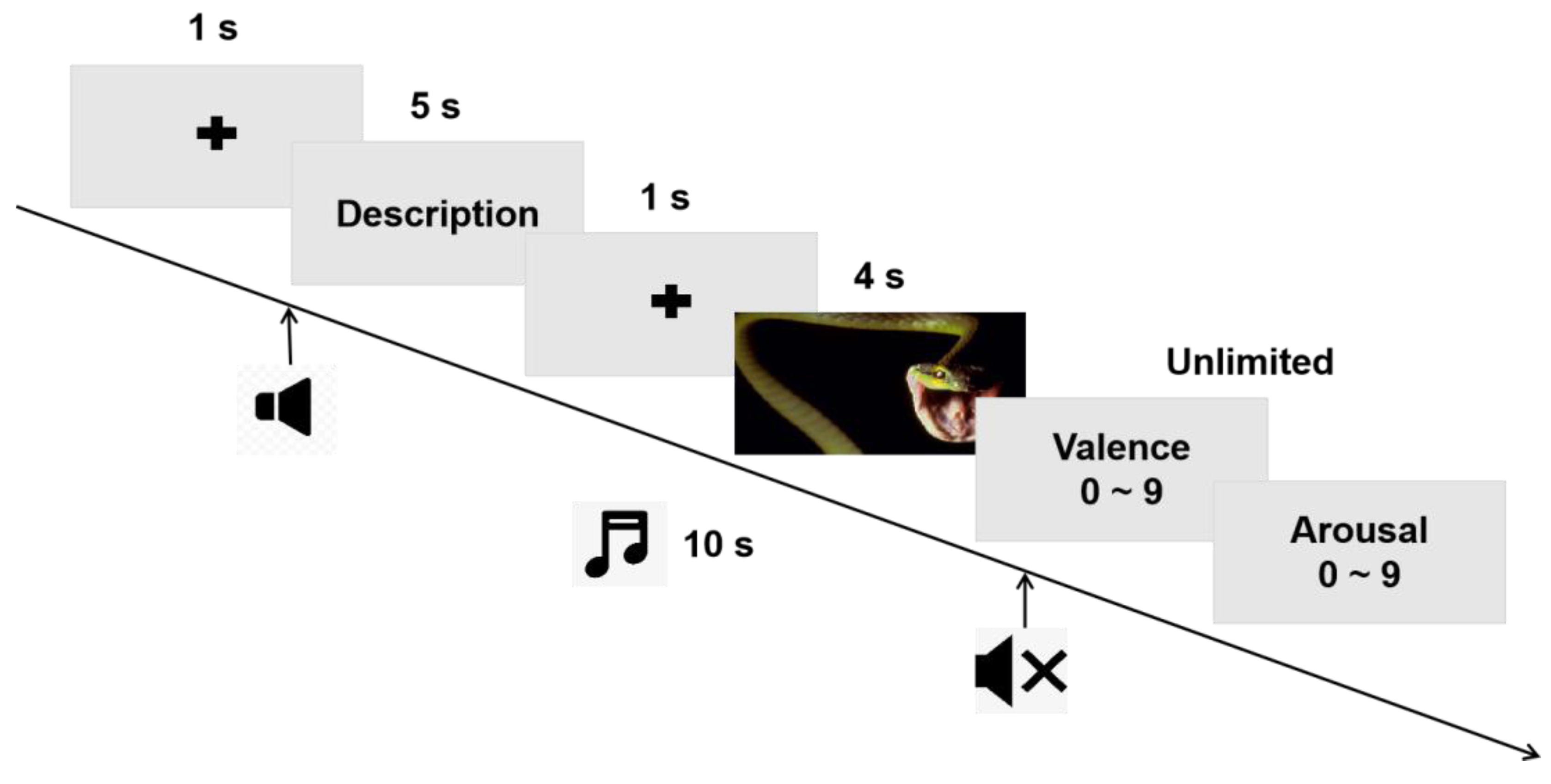 Brainsci 13 00554 g001 Brainsci 13 00554 g001