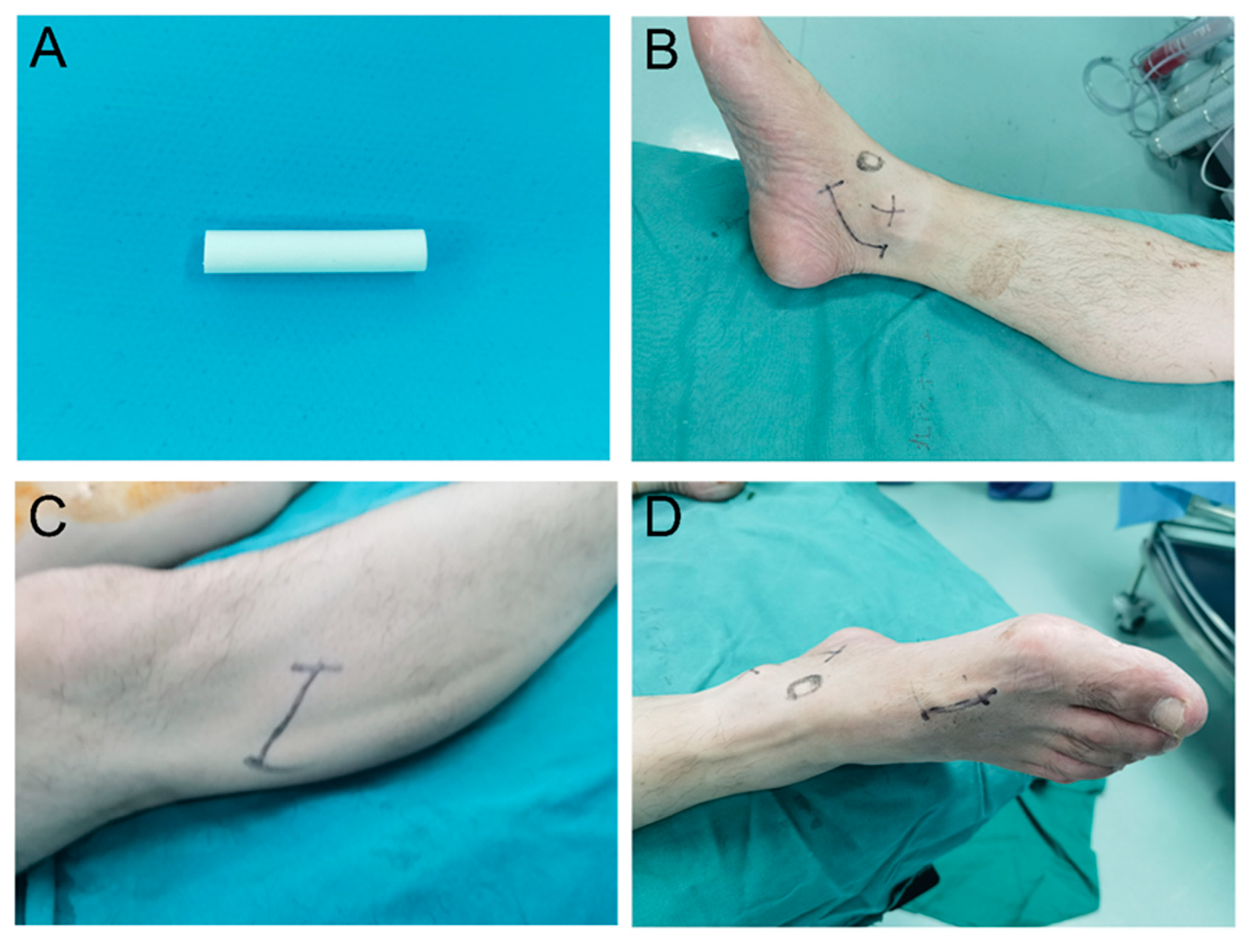 Brainsci 13 00558 g001