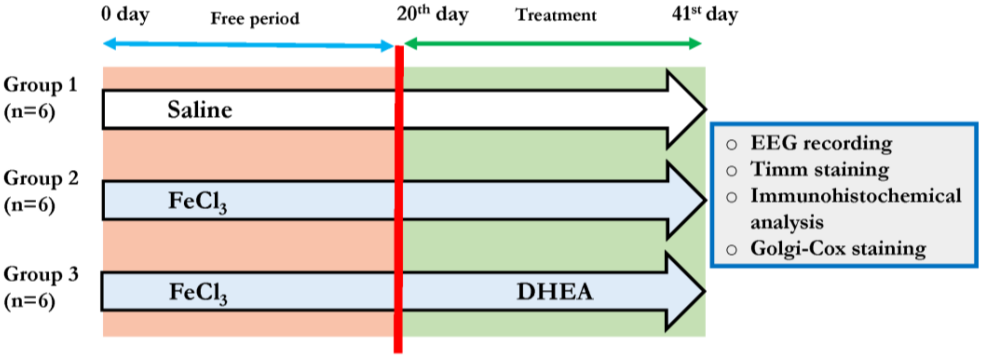 Brainsci 13 00563 g001