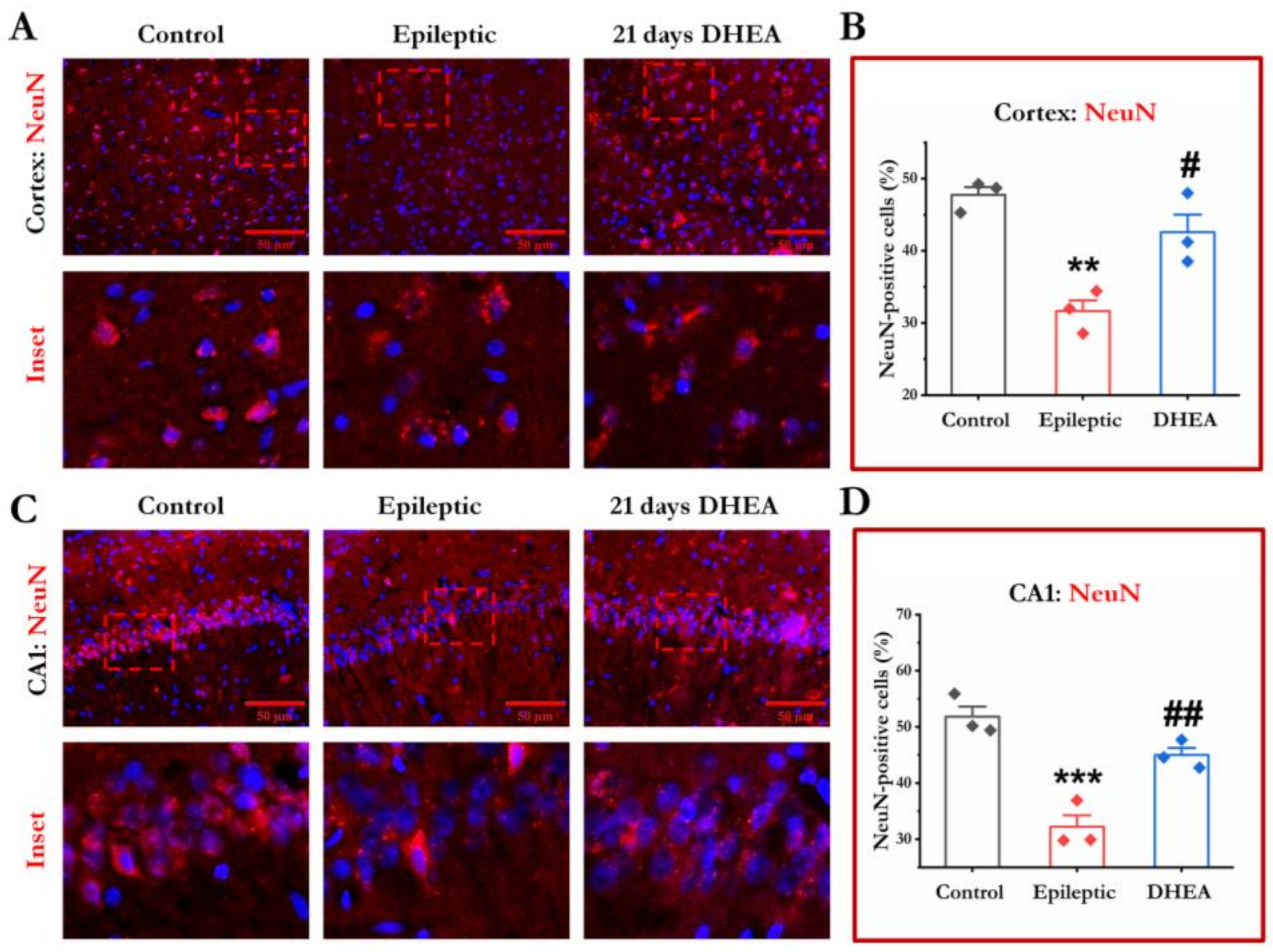 Brainsci 13 00563 g004