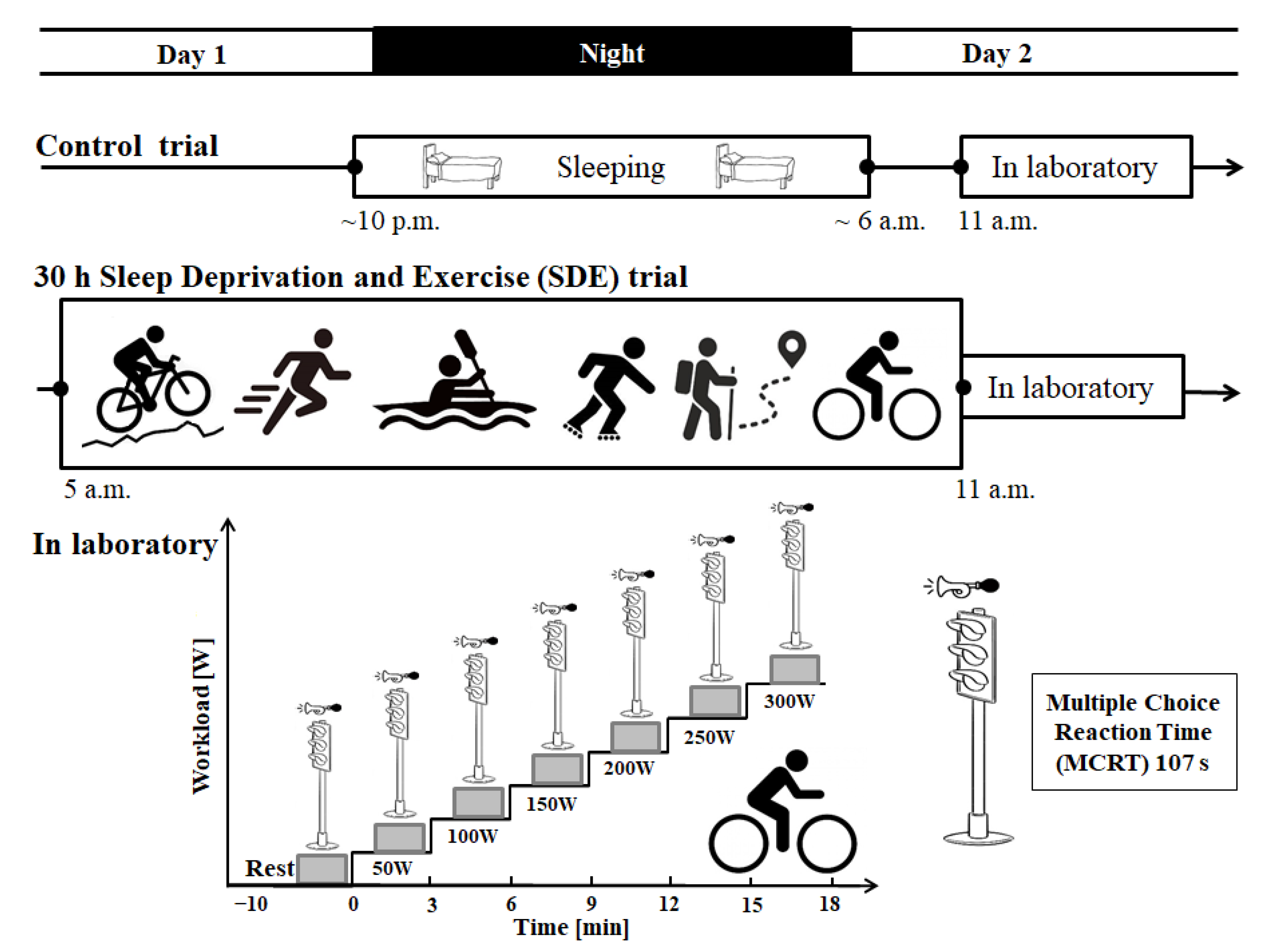 Brainsci 13 00570 g001
