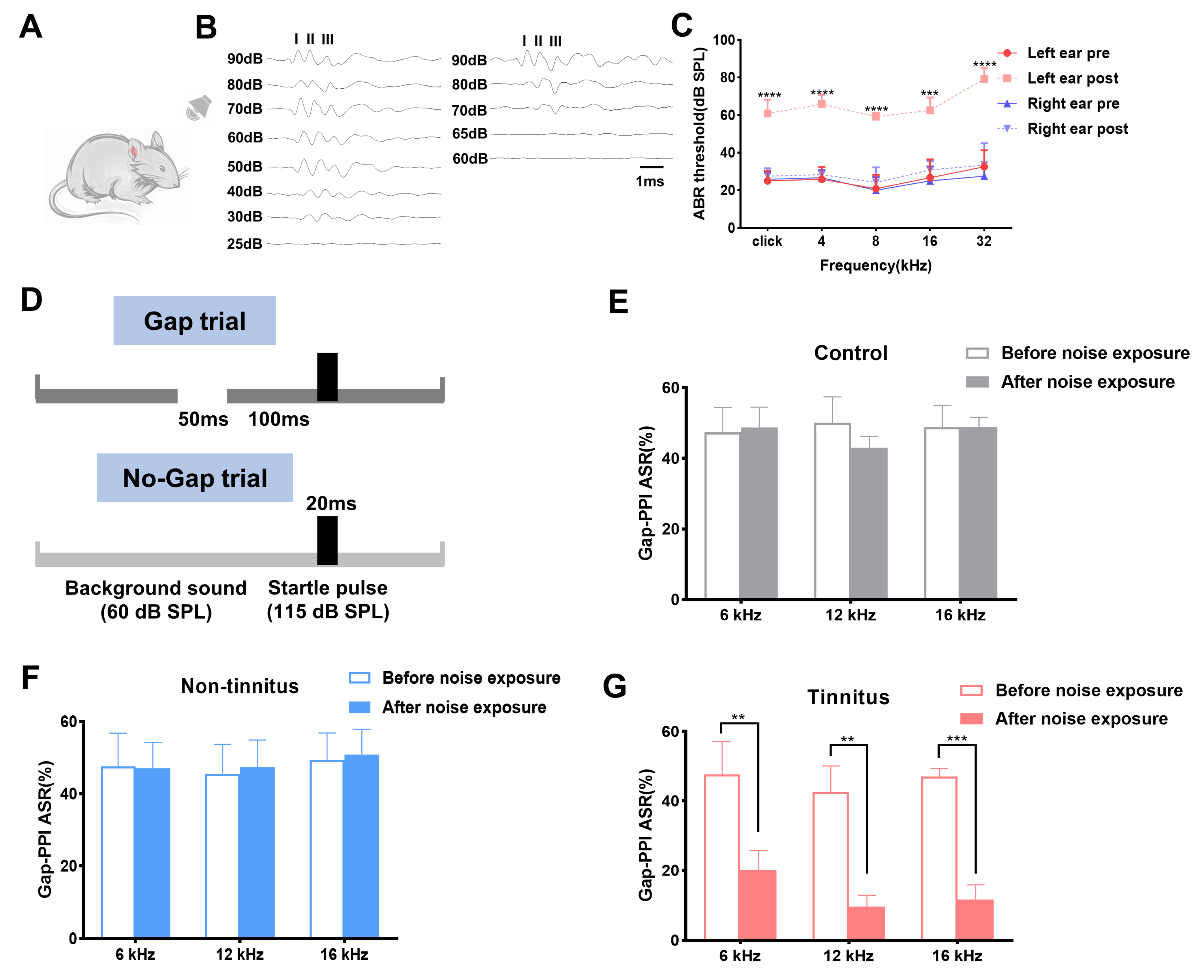Brainsci 13 00573 g001