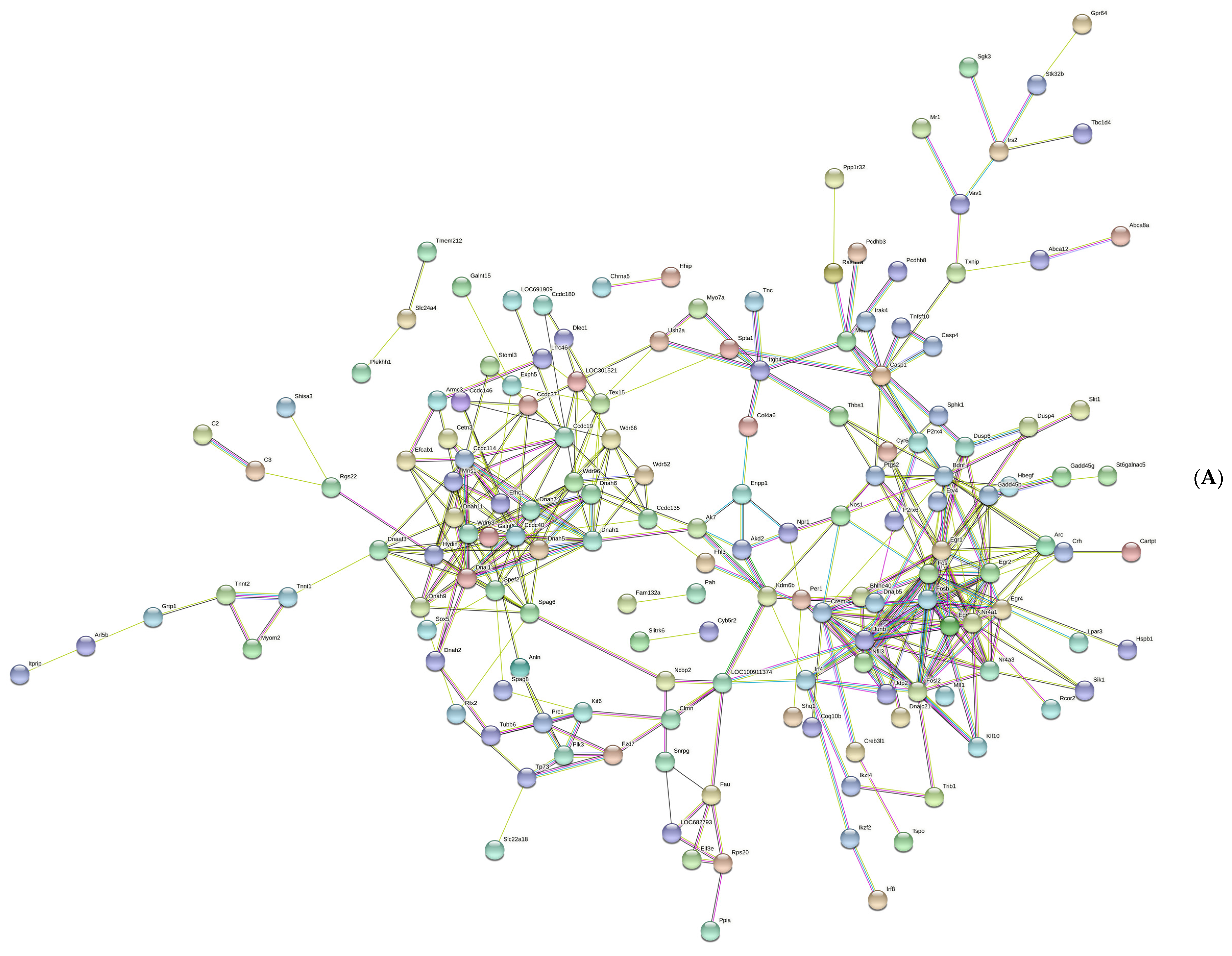 Brainsci 13 00573 g004a