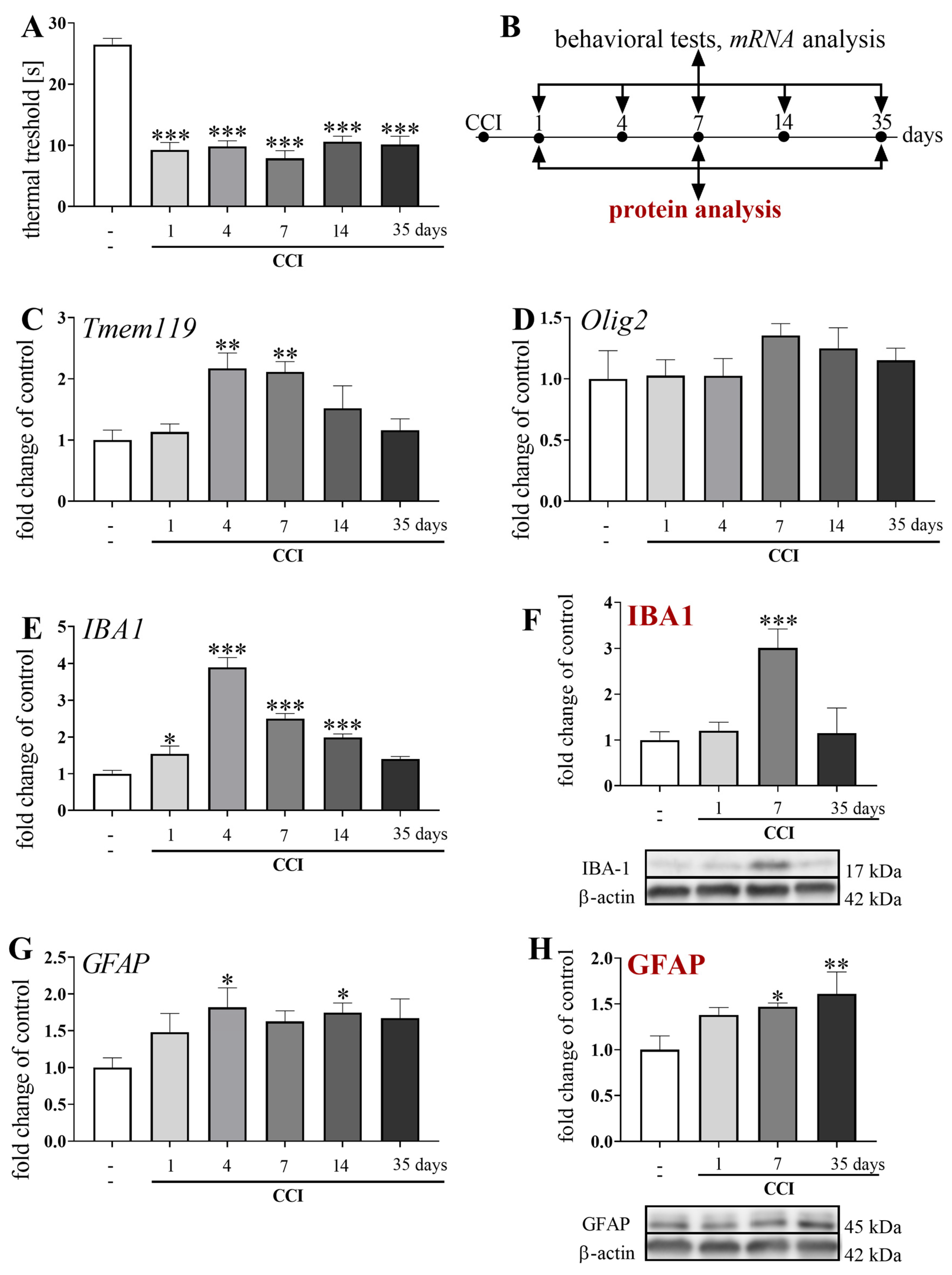 Brainsci 13 00579 g001