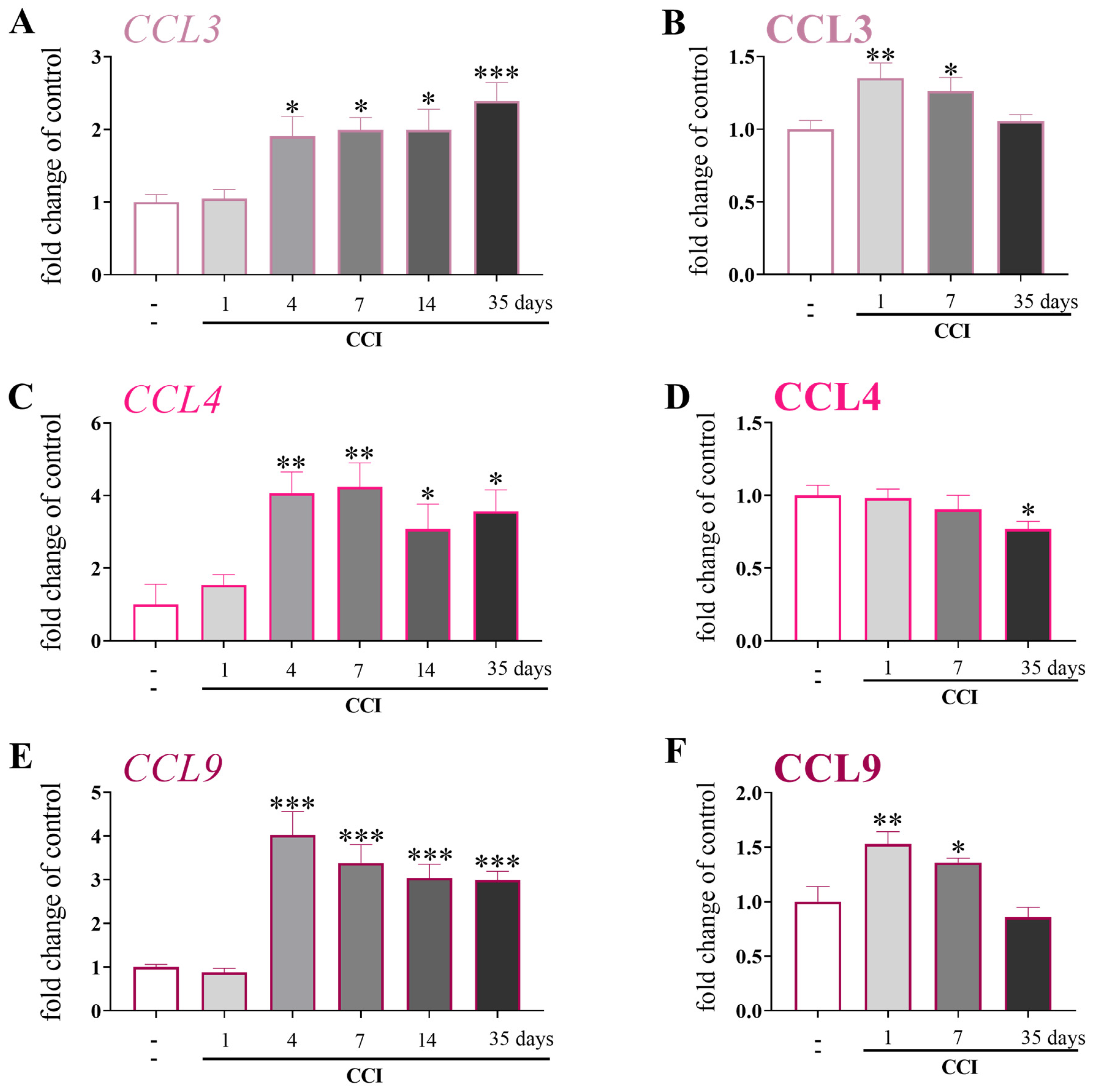Brainsci 13 00579 g002