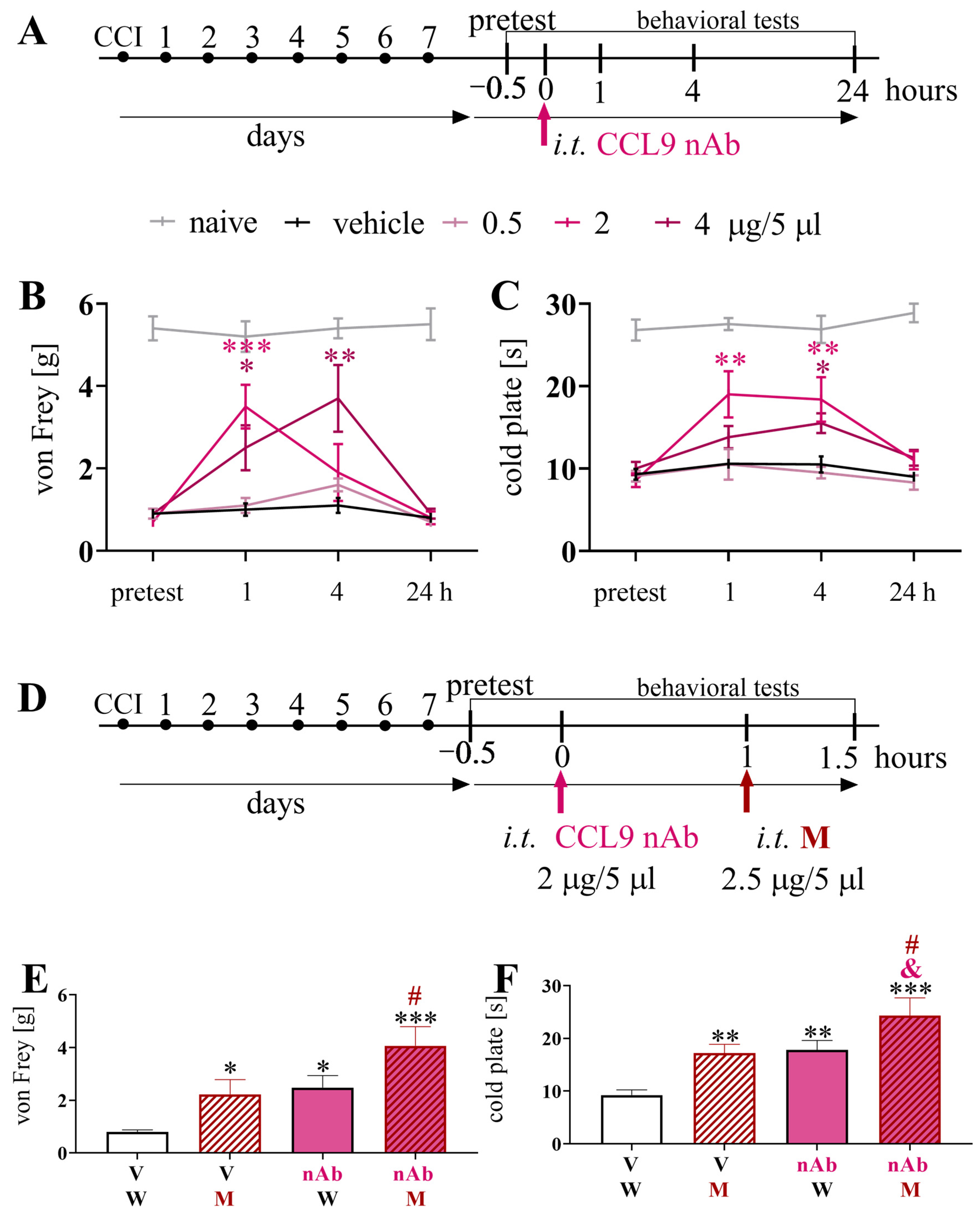 Brainsci 13 00579 g004