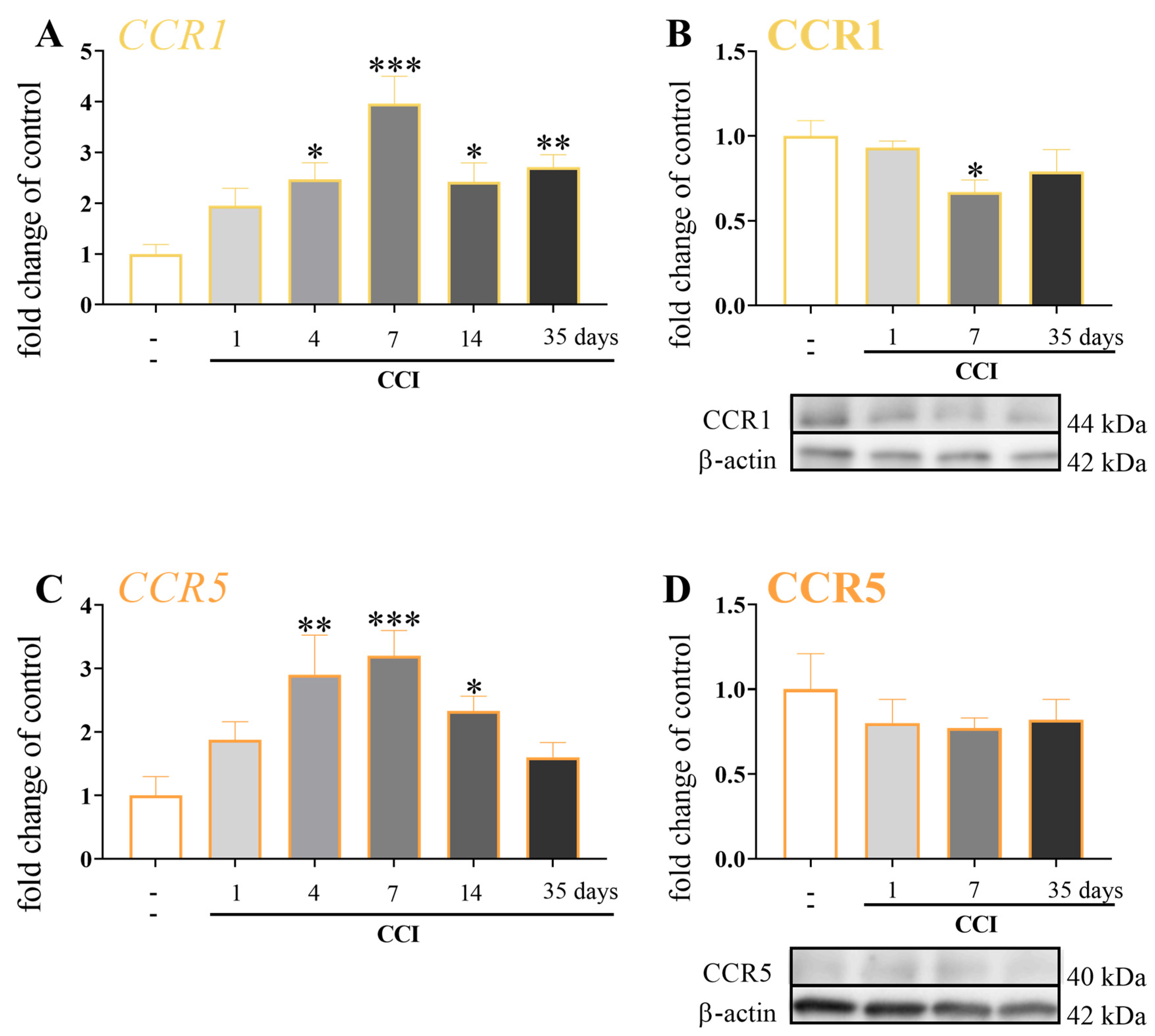 Brainsci 13 00579 g005