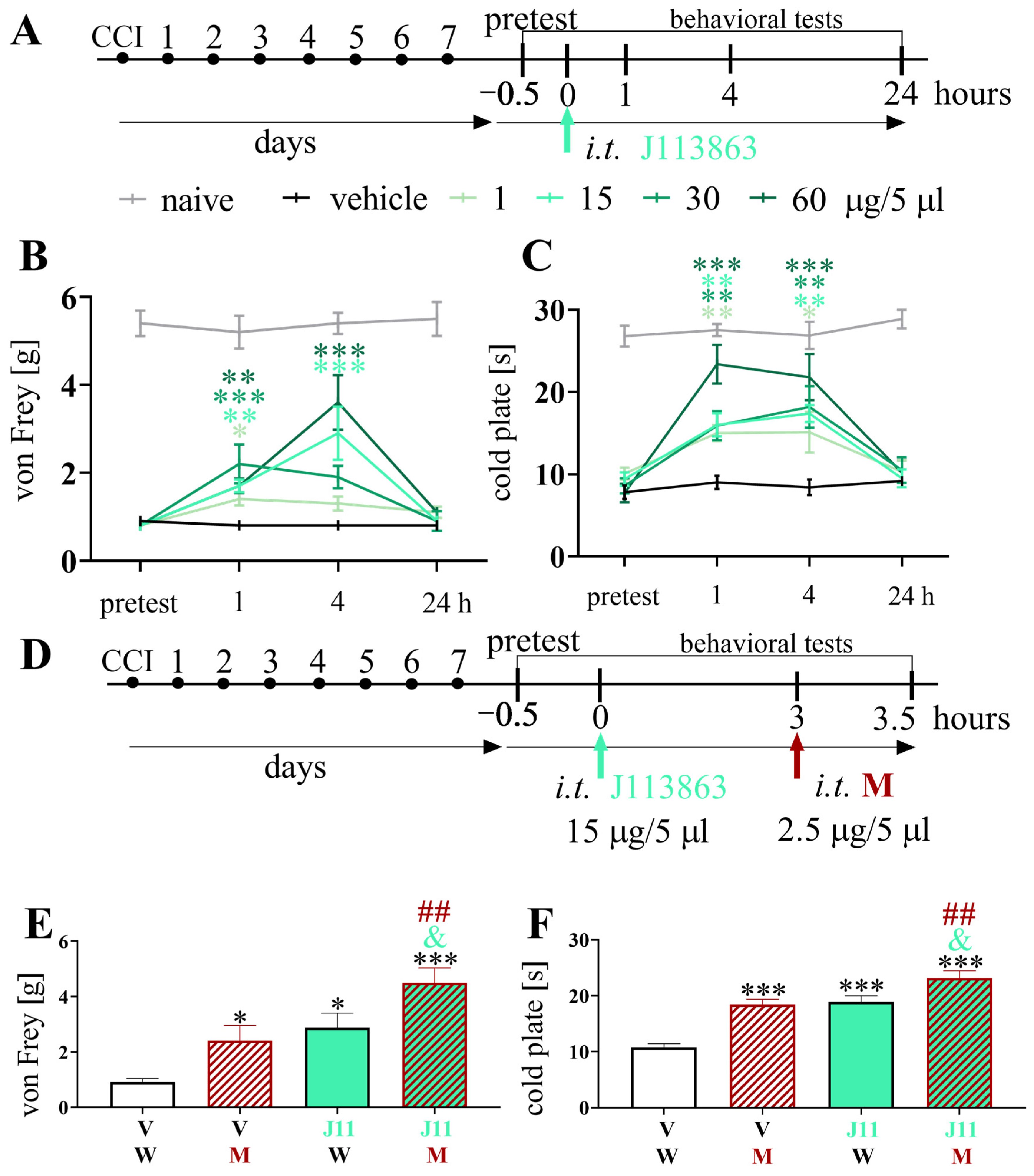 Brainsci 13 00579 g006