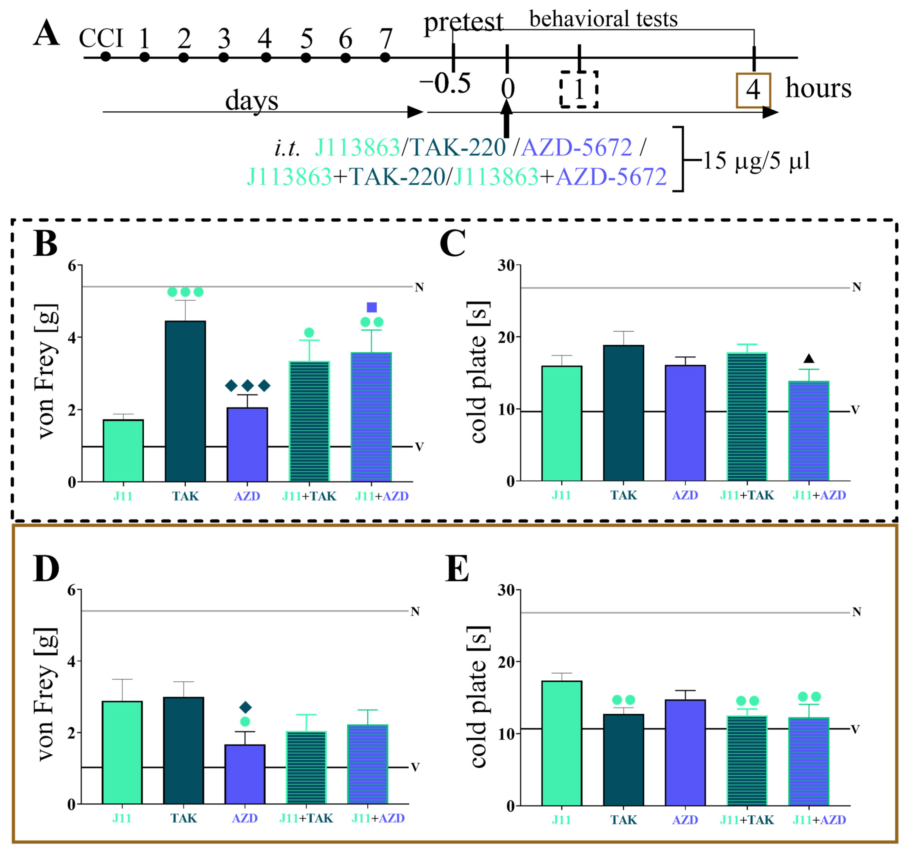 Brainsci 13 00579 g009