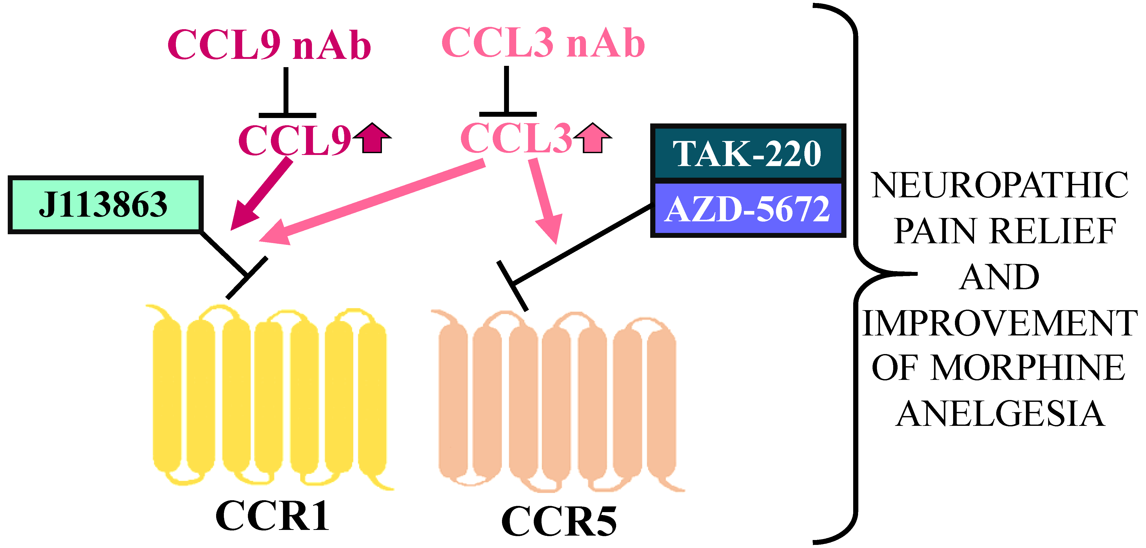 Brainsci 13 00579 sch001