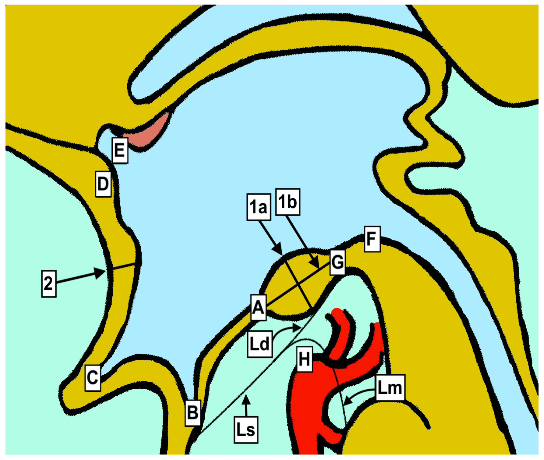 Brainsci 13 00580 g001 Brainsci 13 00580 g001