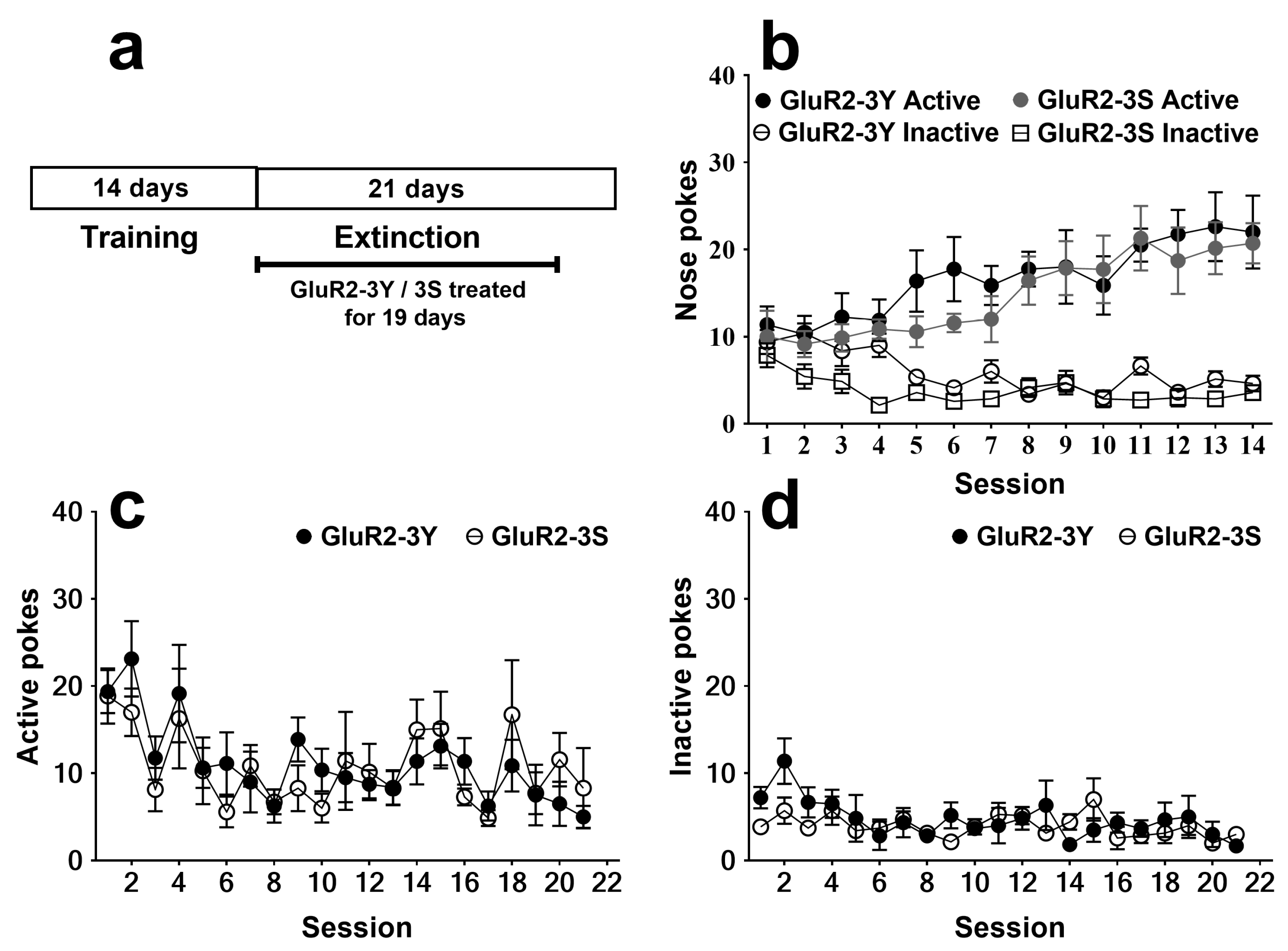 Brainsci 13 00590 g001