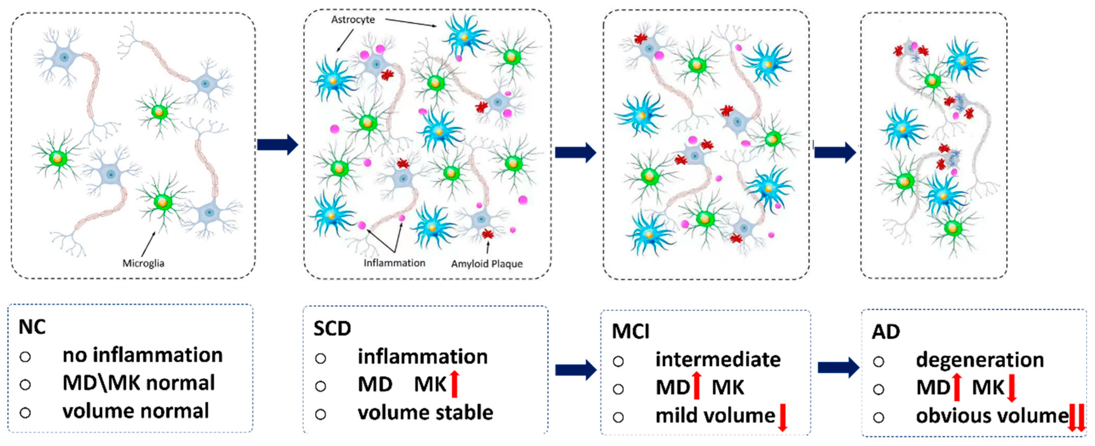 Brainsci 13 00595 g007 Brainsci 13 00595 g007