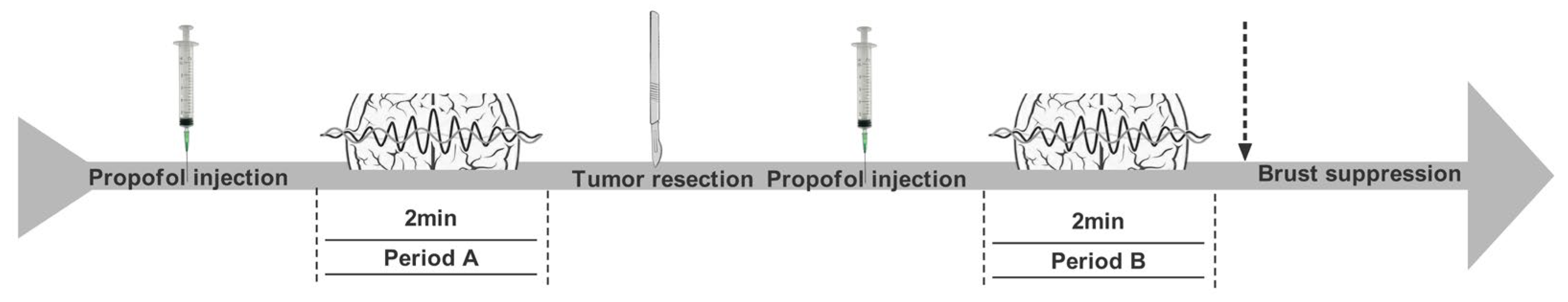 Brainsci 13 00597 g002