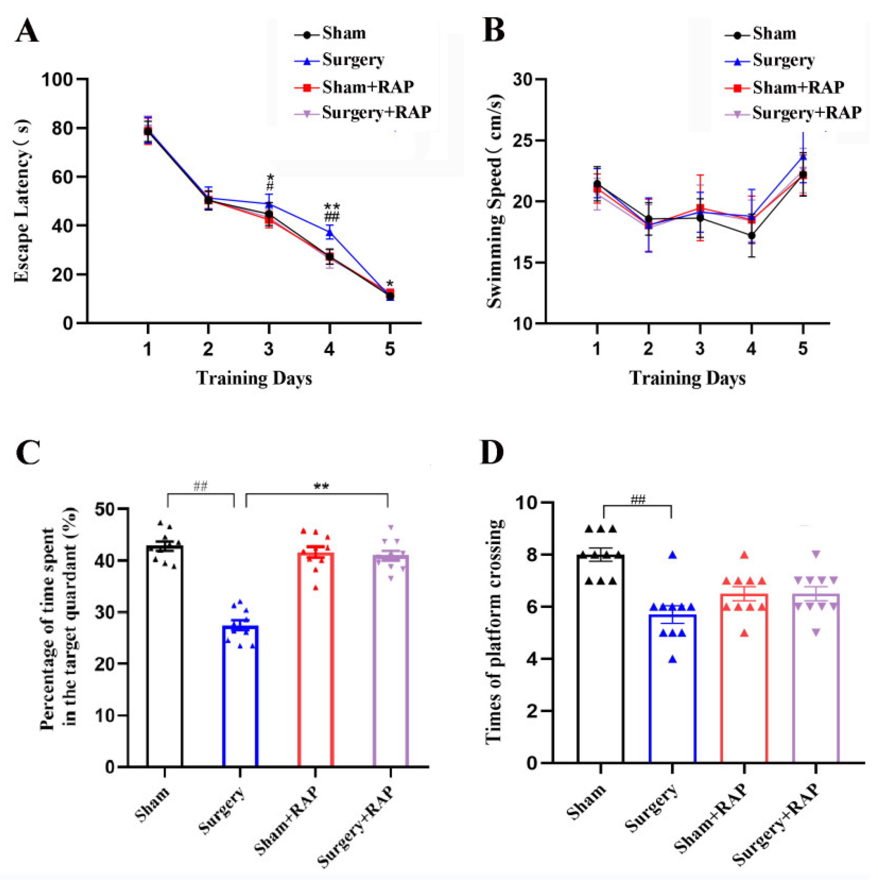 Brainsci 13 00598 g001 Brainsci 13 00598 g001