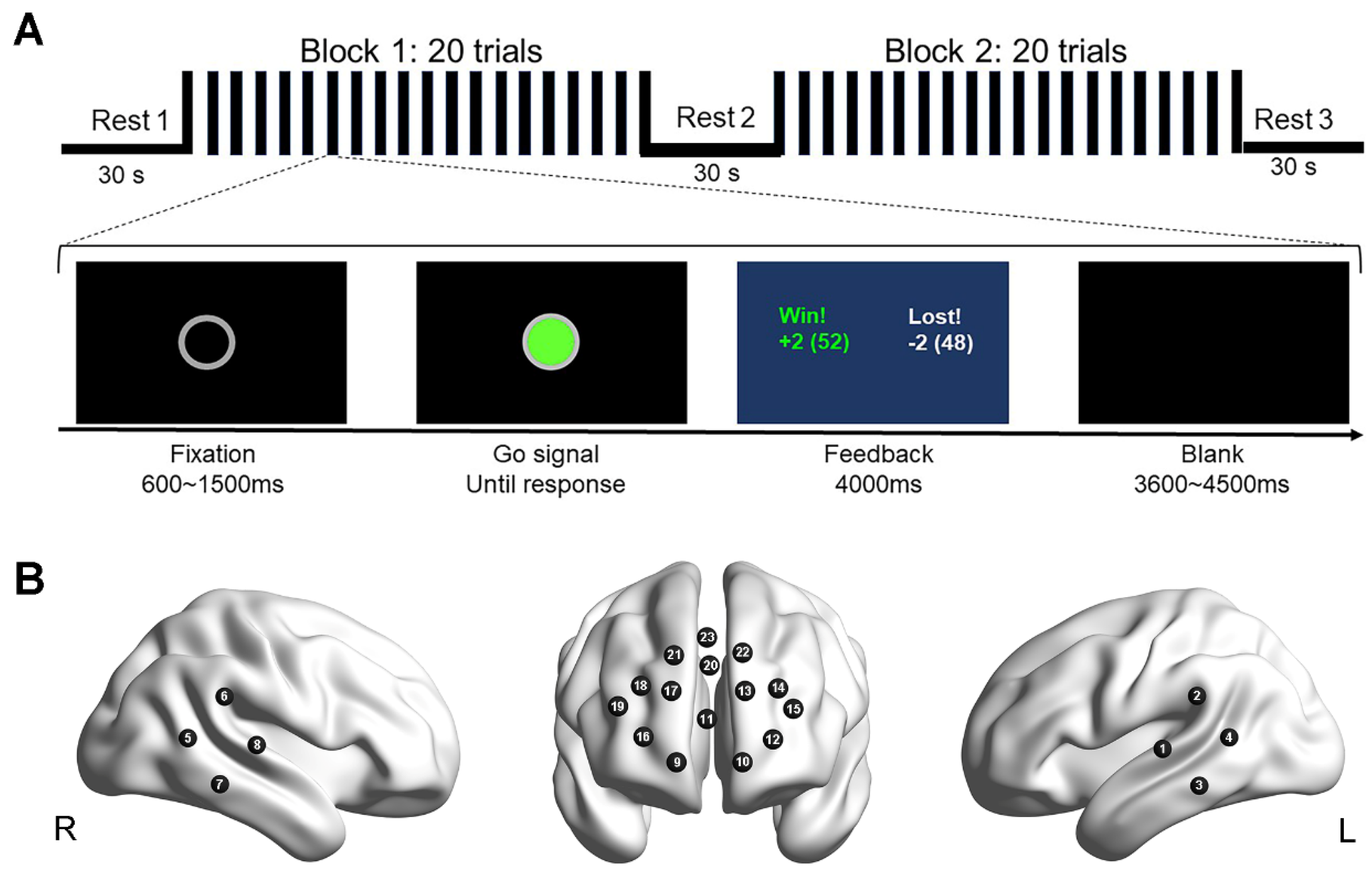 Brainsci 13 00600 g001