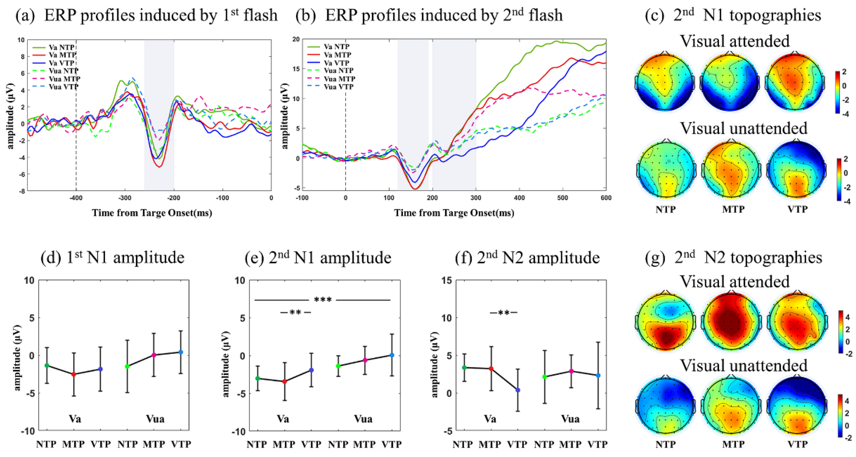 Brainsci 13 00610 g003