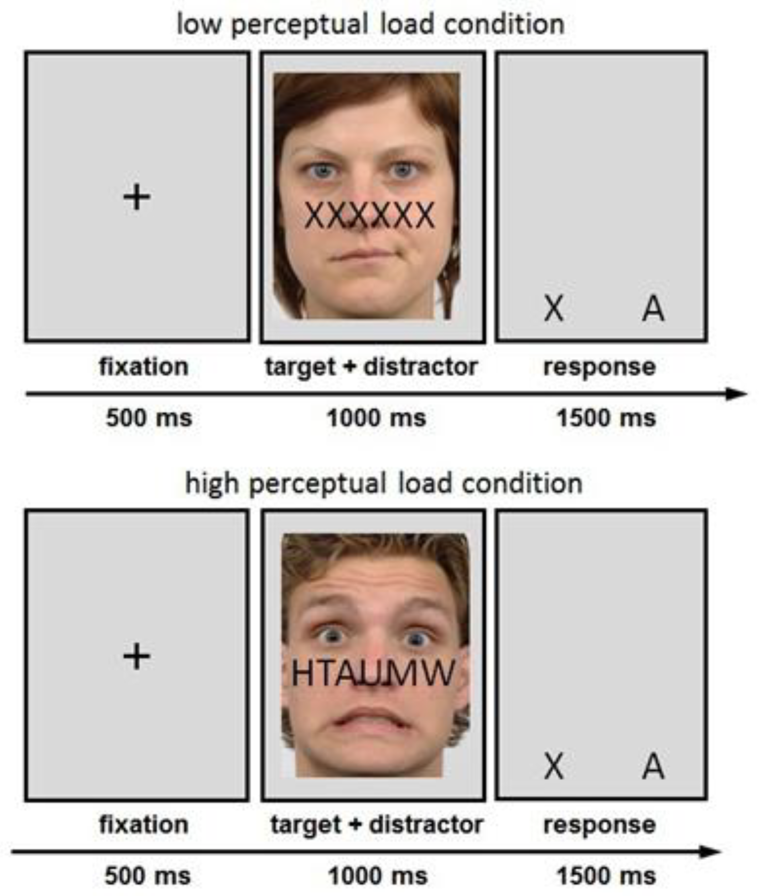 Brainsci 13 00618 g001