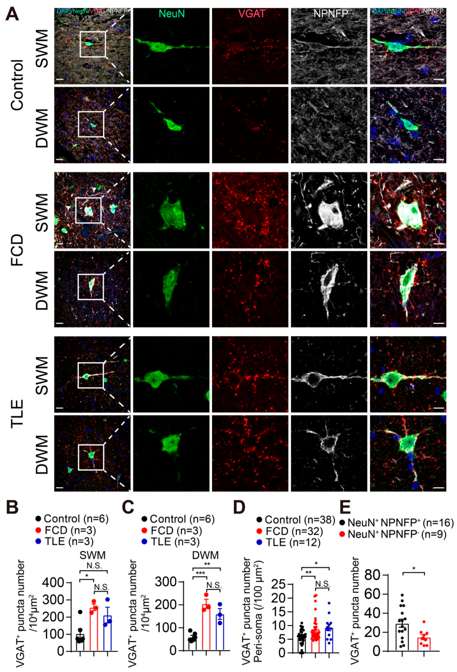 Brainsci 13 00626 g003
