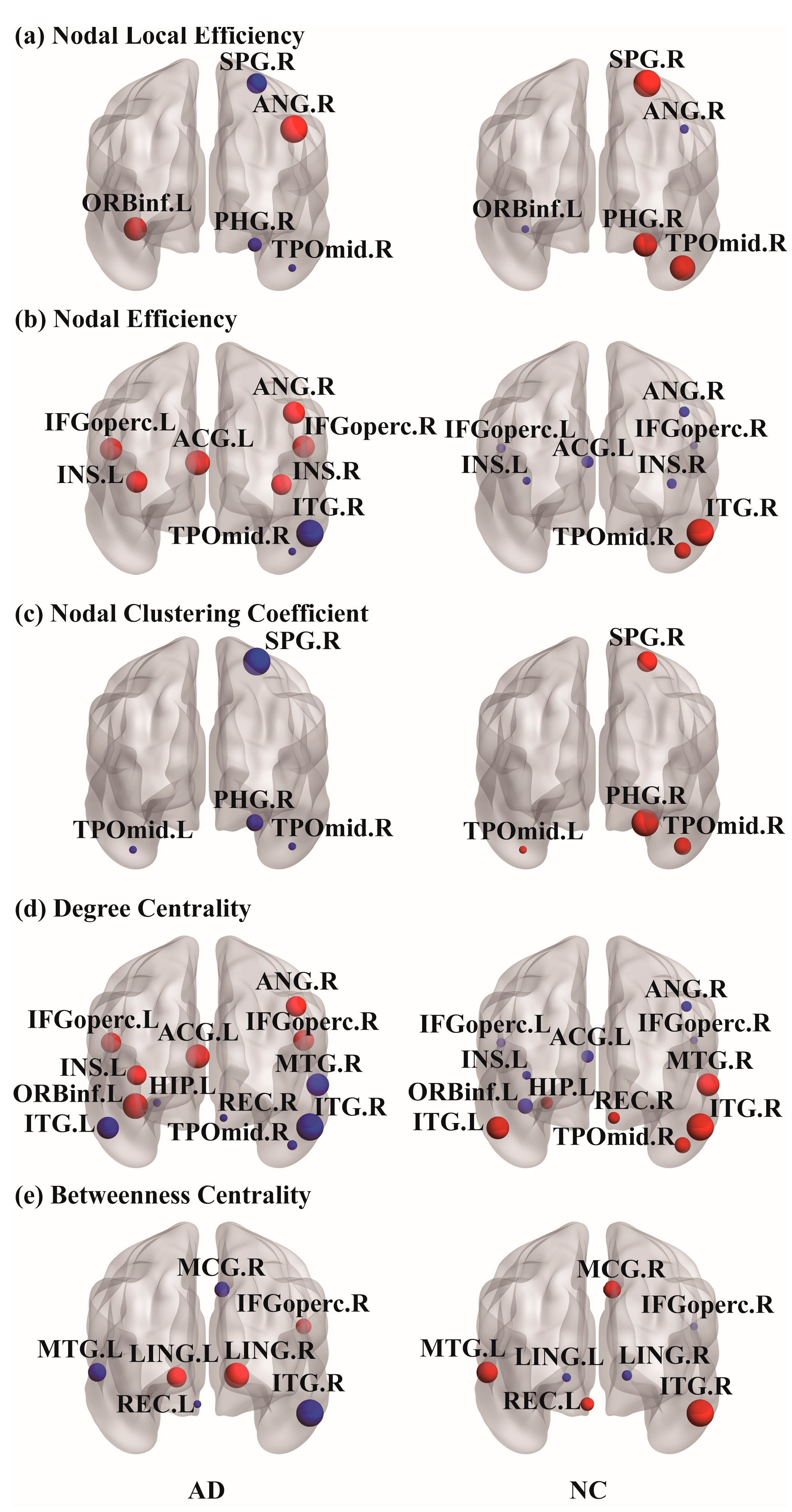 Brainsci 13 00631 g004